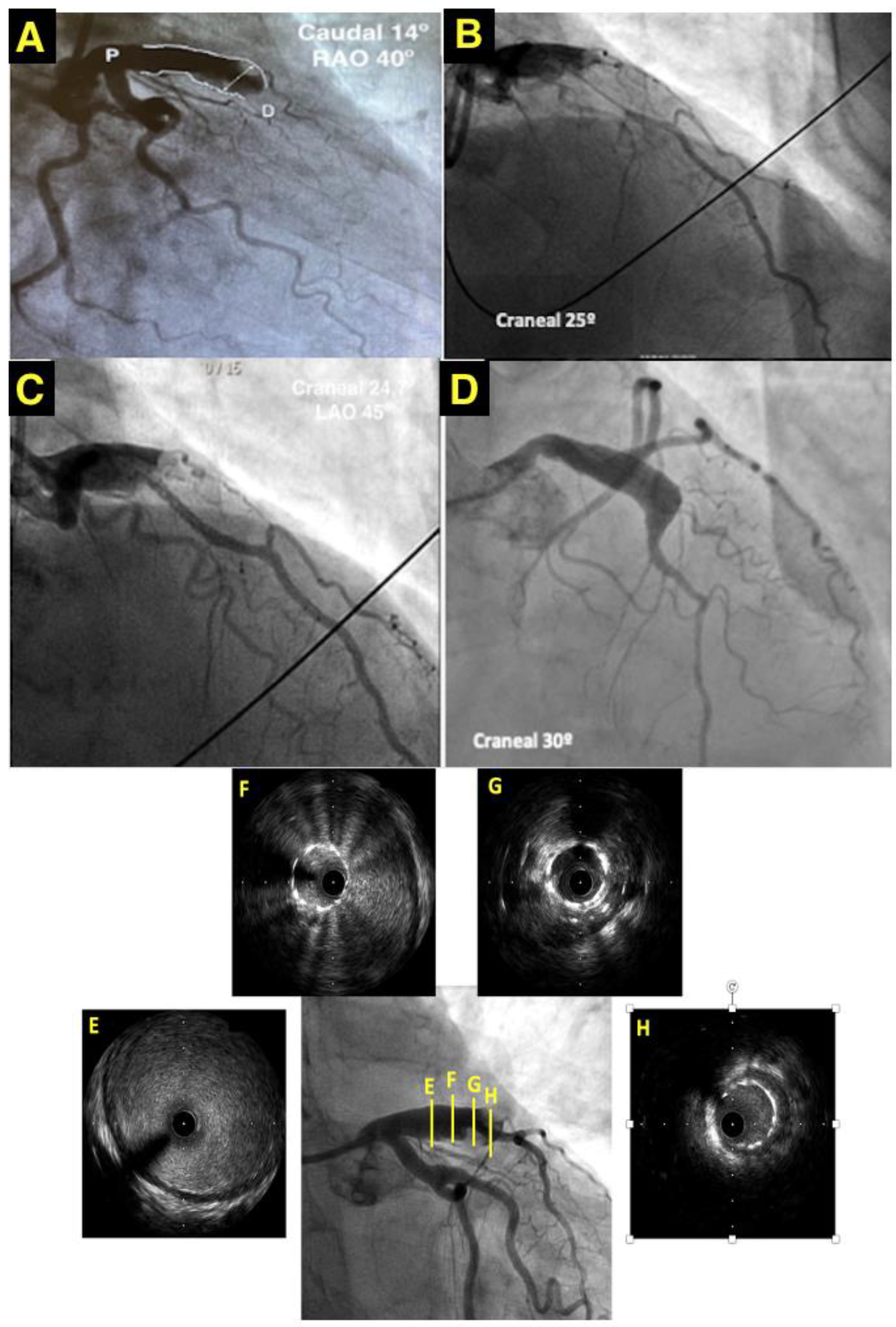 Jcdd 10 00059 g001 550
