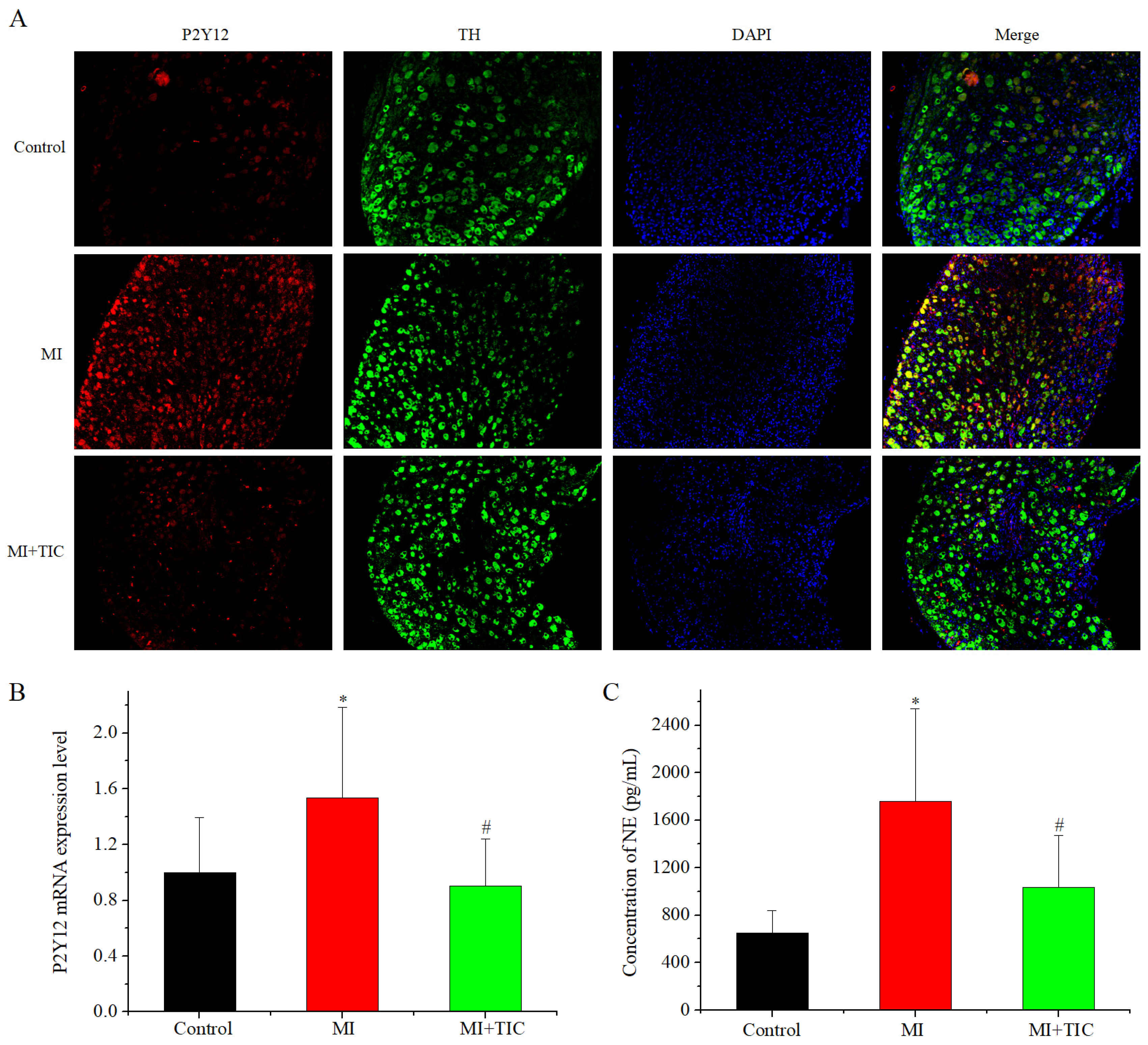Jcdd 10 00071 g002 Jcdd 10 00071 g002
