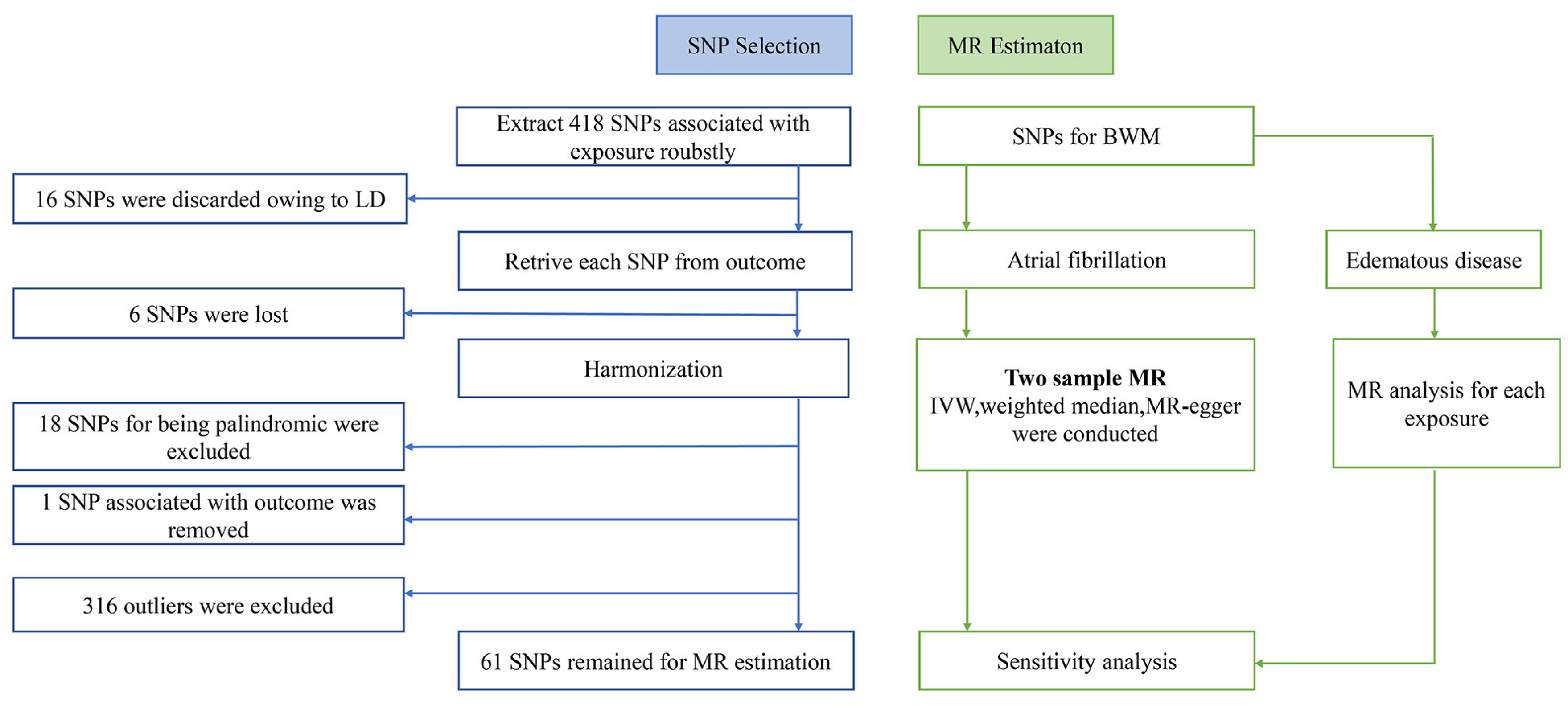 Jcdd 10 00076 g001 Jcdd 10 00076 g001