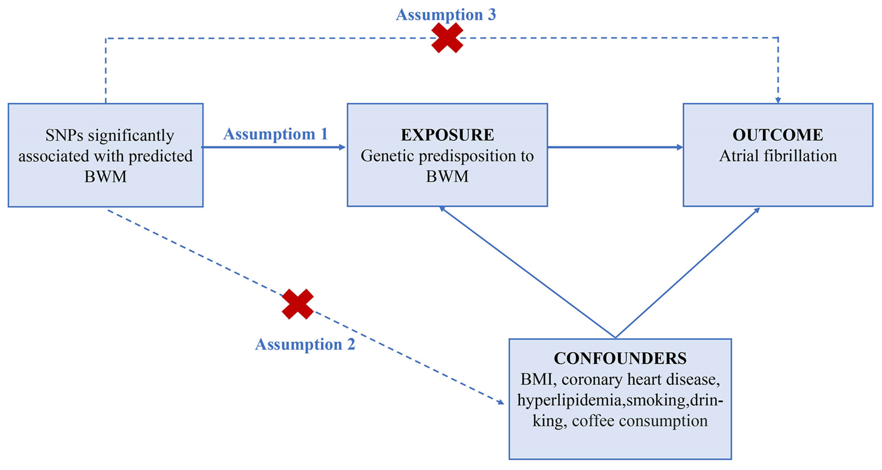 Jcdd 10 00076 g002 Jcdd 10 00076 g002