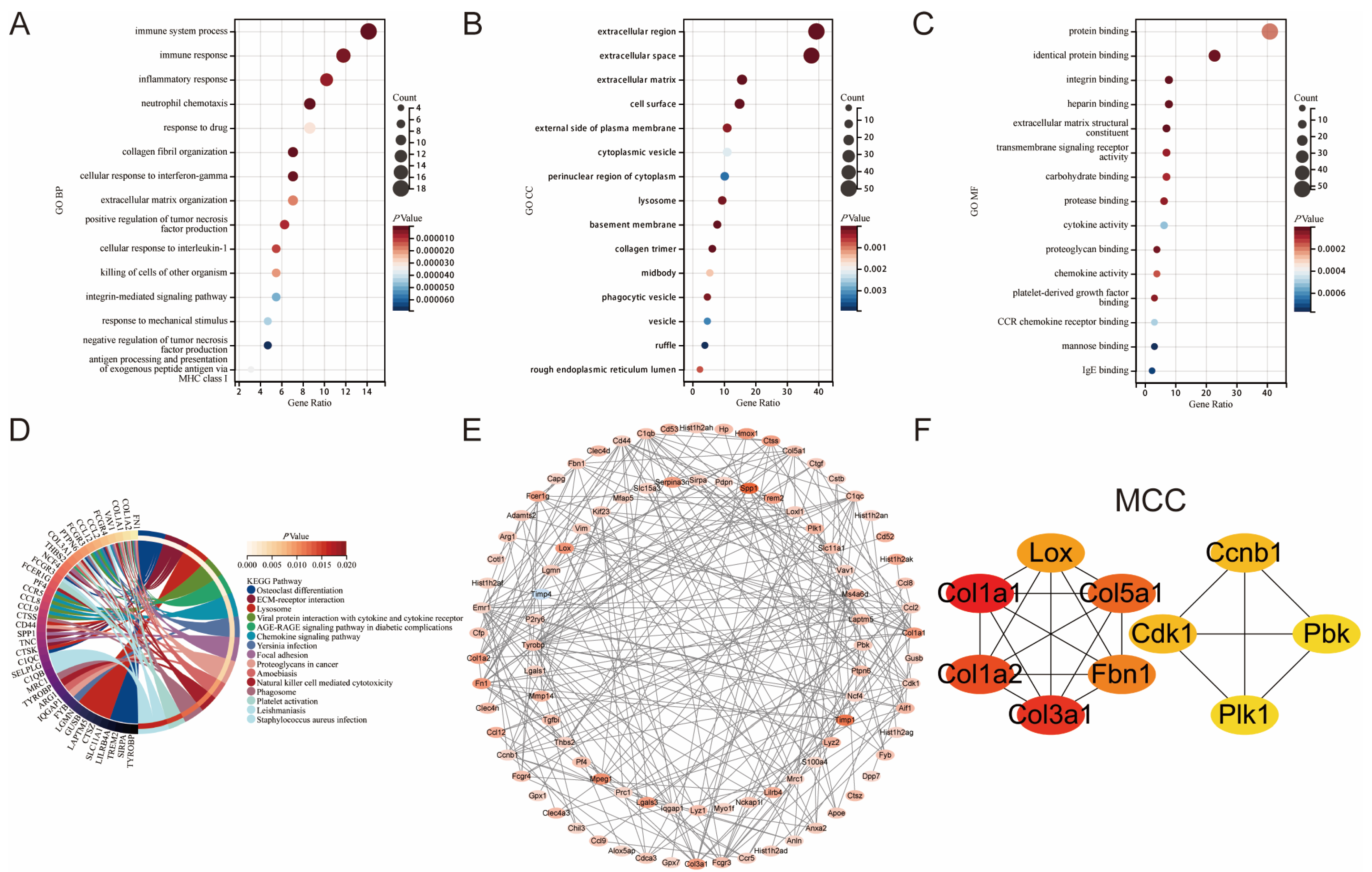 Jcdd 10 00079 g002 550