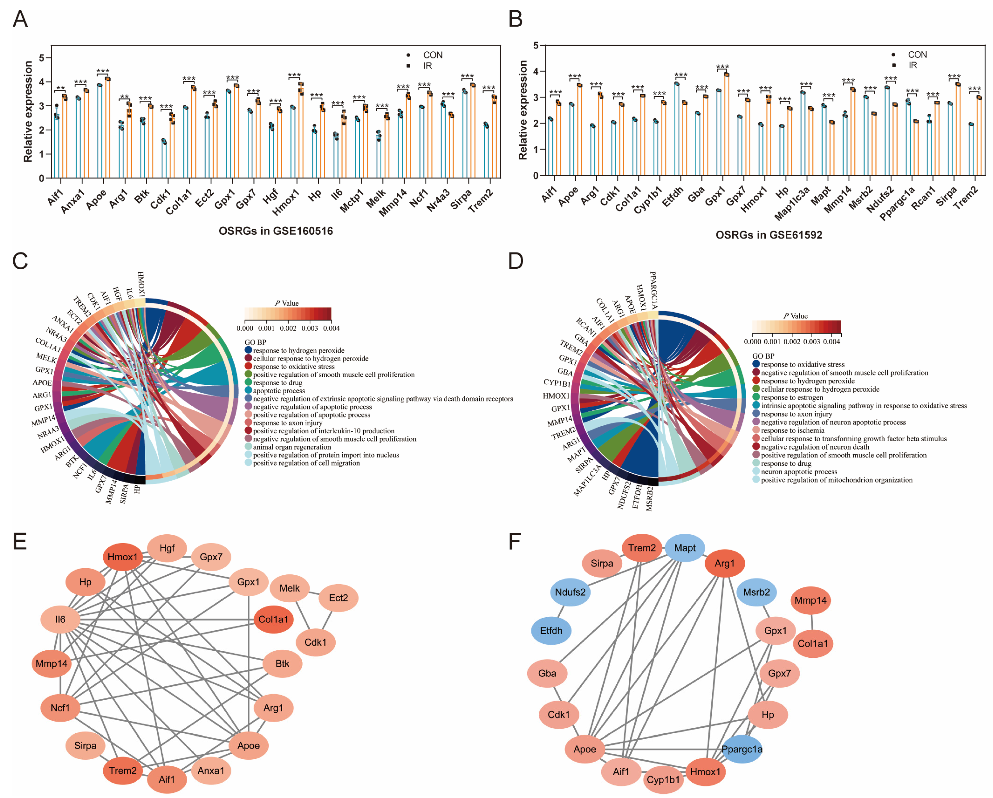 Jcdd 10 00079 g003 550