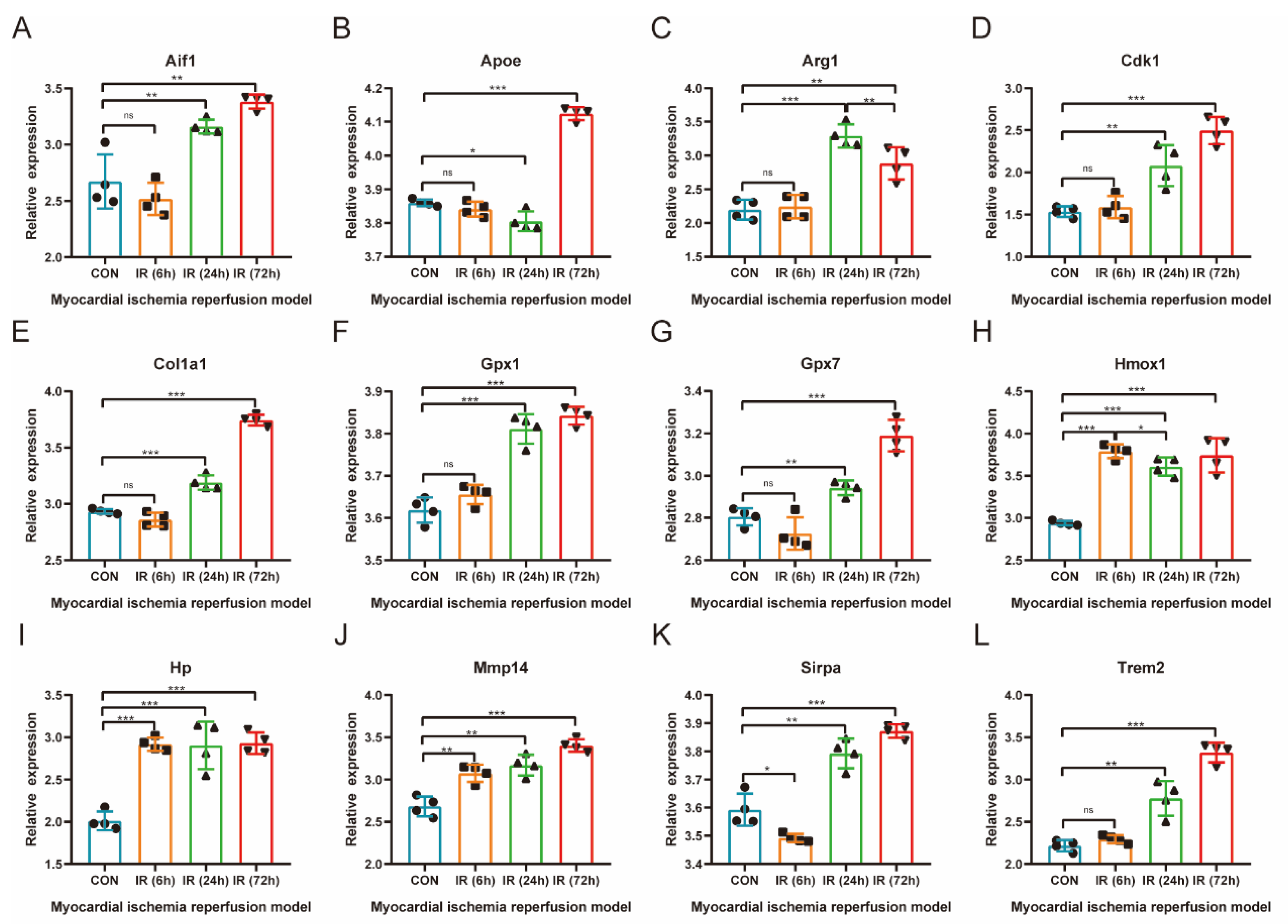 Jcdd 10 00079 g004 550