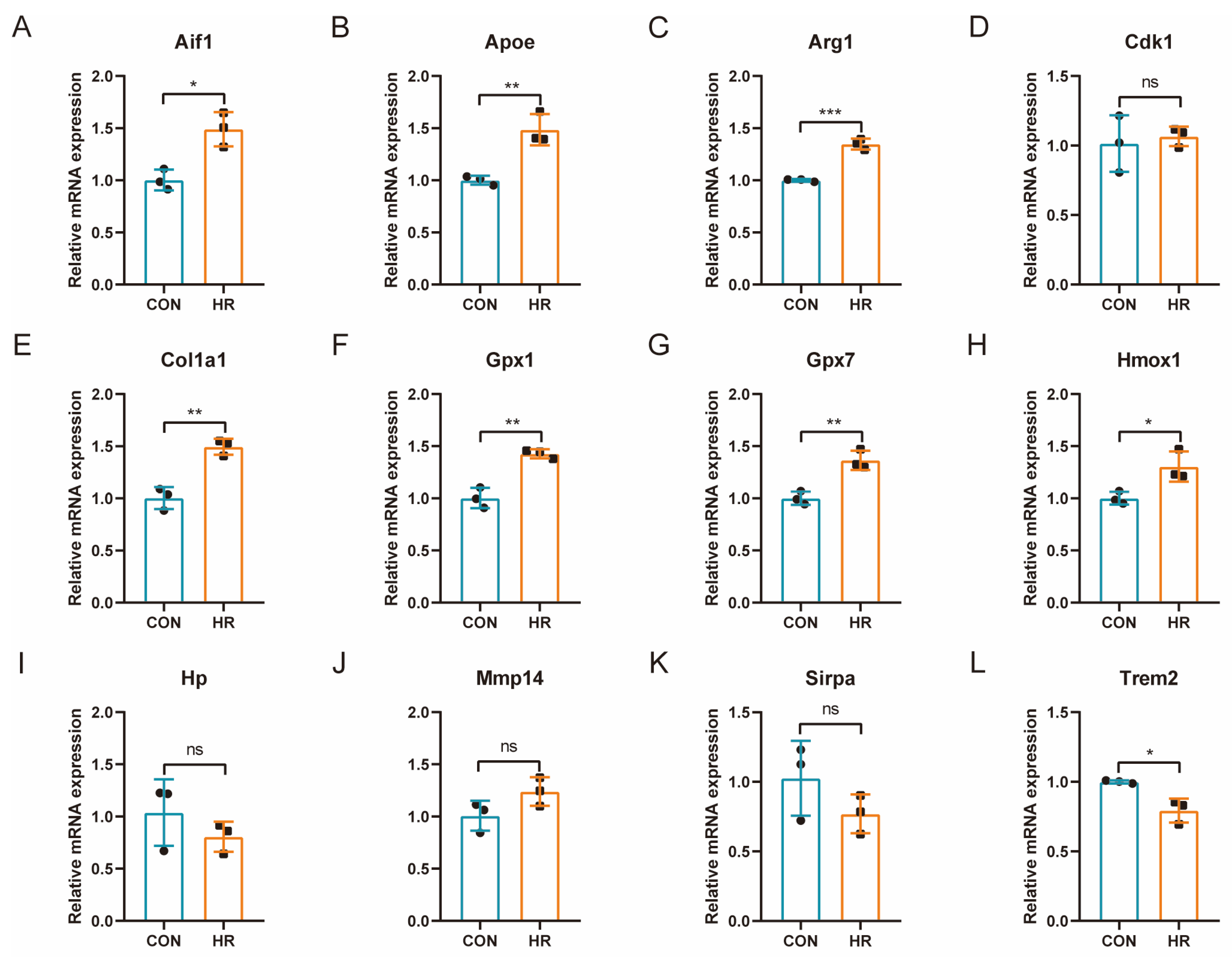 Jcdd 10 00079 g007 550