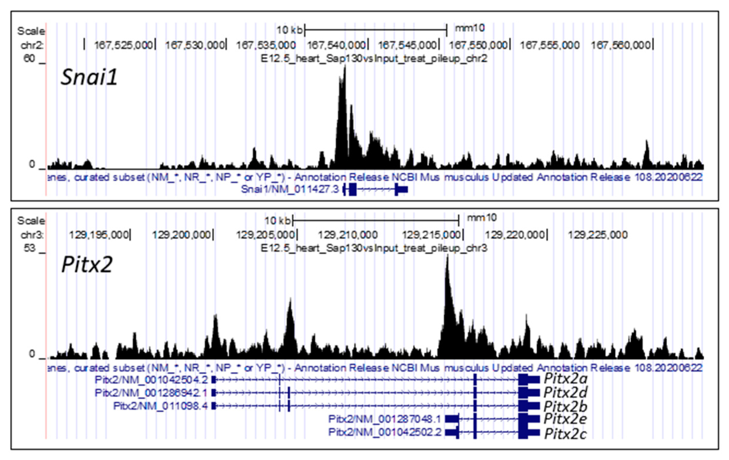 Jcdd 10 00099 g002 Jcdd 10 00099 g002