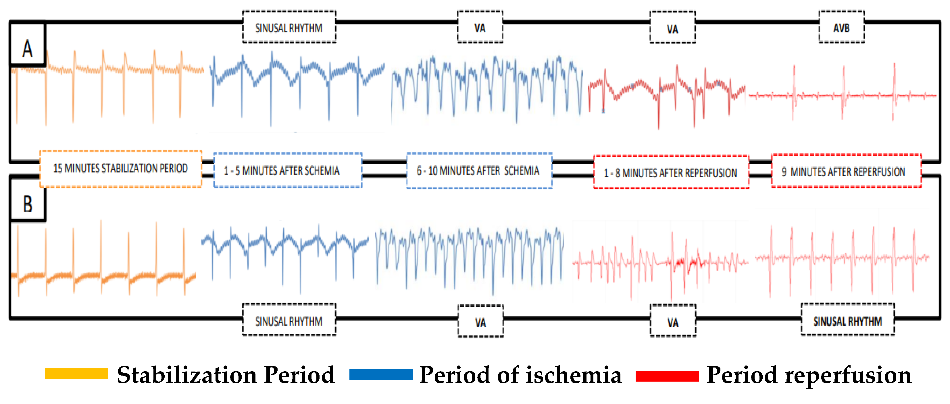 Jcdd 10 00103 g001 Jcdd 10 00103 g001