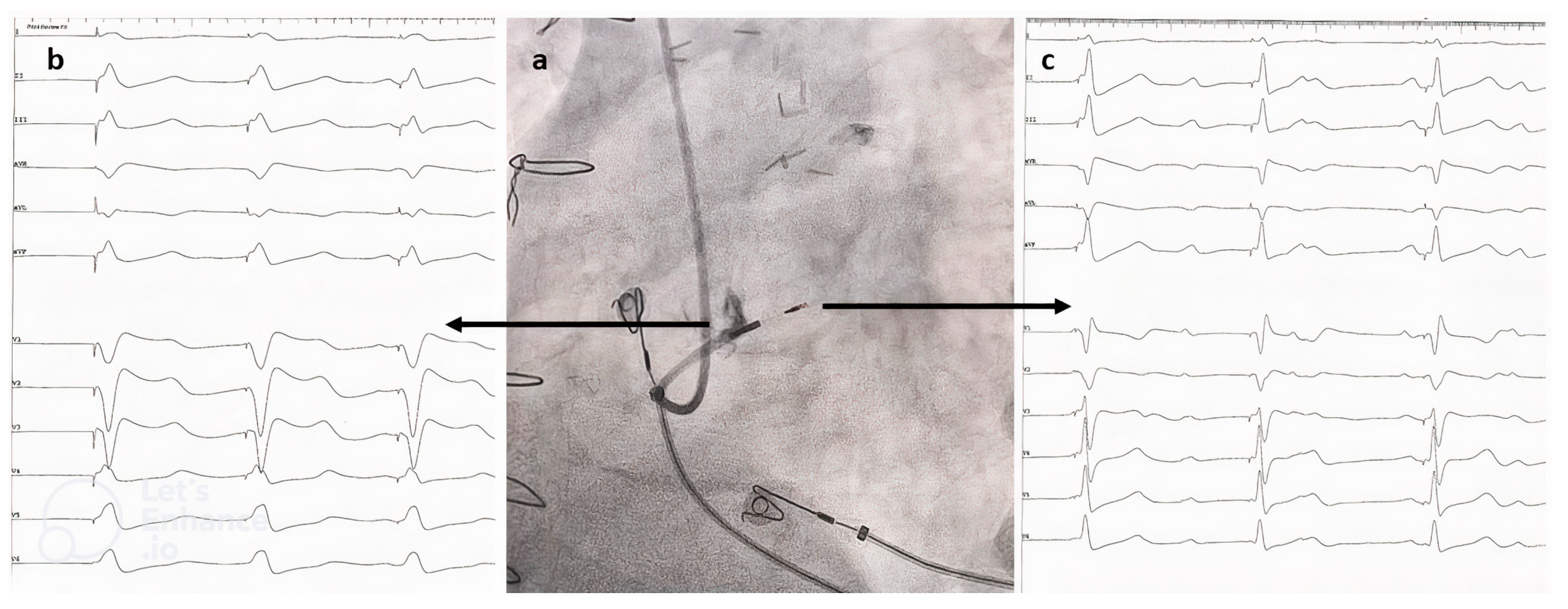 Jcdd 10 00108 g001 Jcdd 10 00108 g001