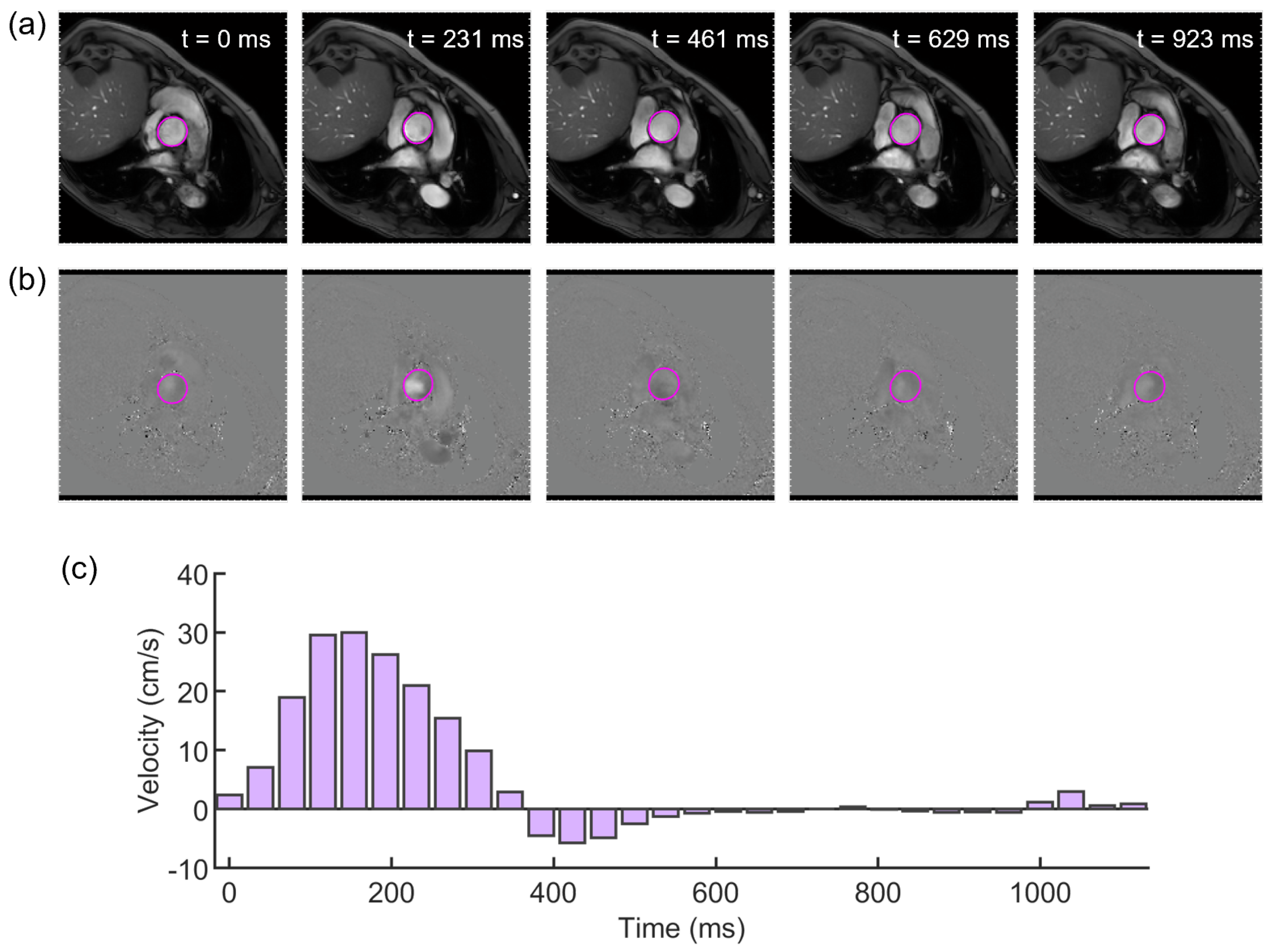 Jcdd 10 00109 g002 Jcdd 10 00109 g002