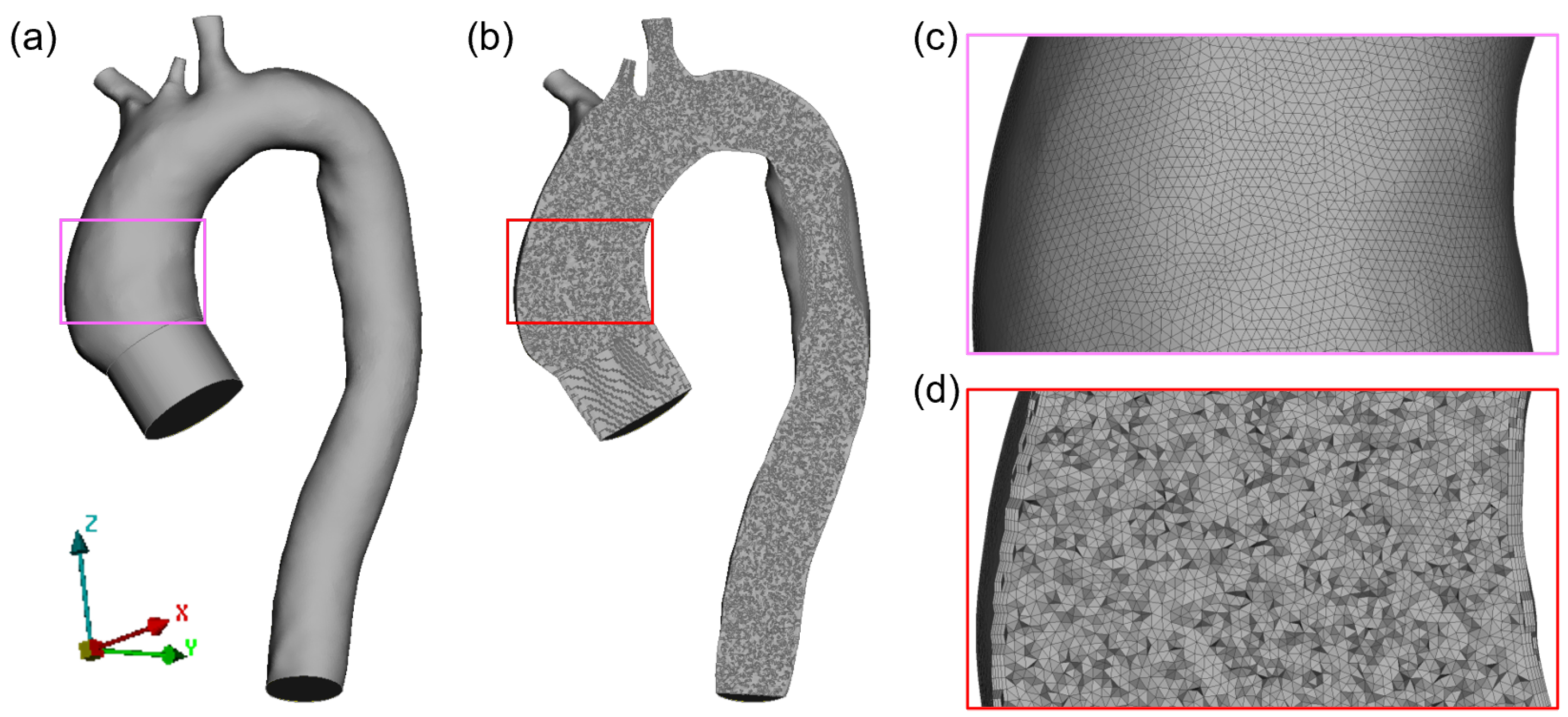 Jcdd 10 00109 g003 Jcdd 10 00109 g003