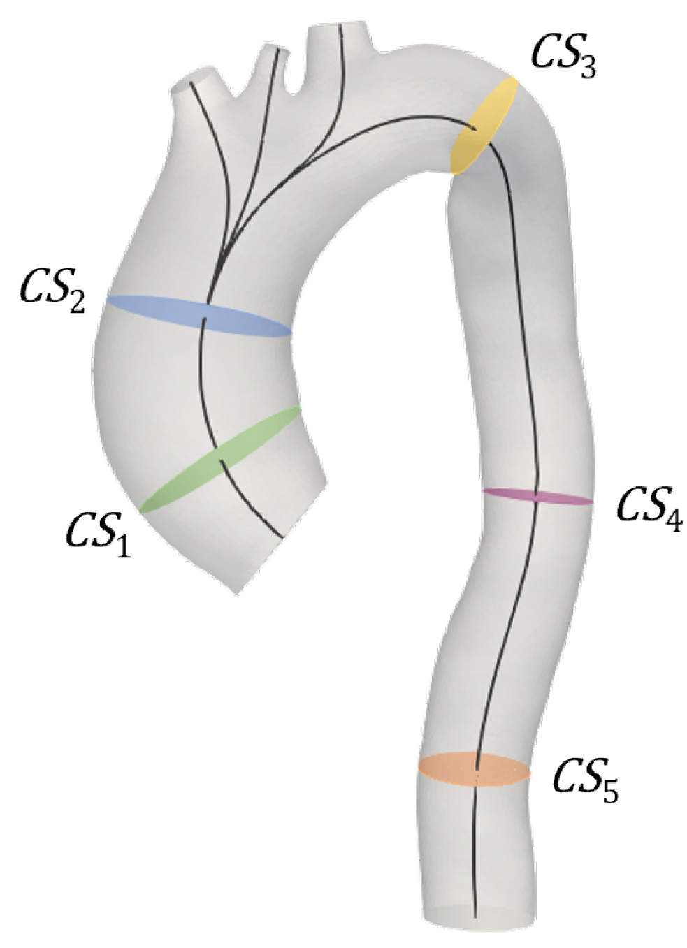 Jcdd 10 00109 g004 Jcdd 10 00109 g004