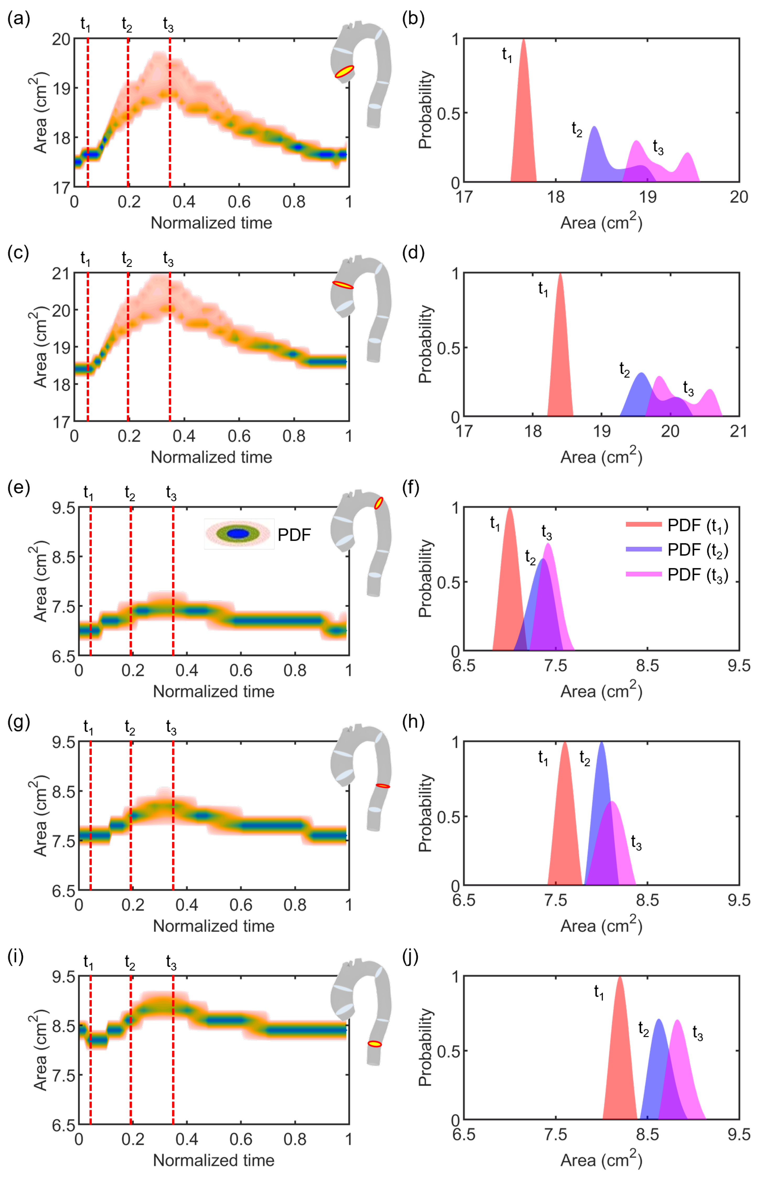 Jcdd 10 00109 g010 Jcdd 10 00109 g010