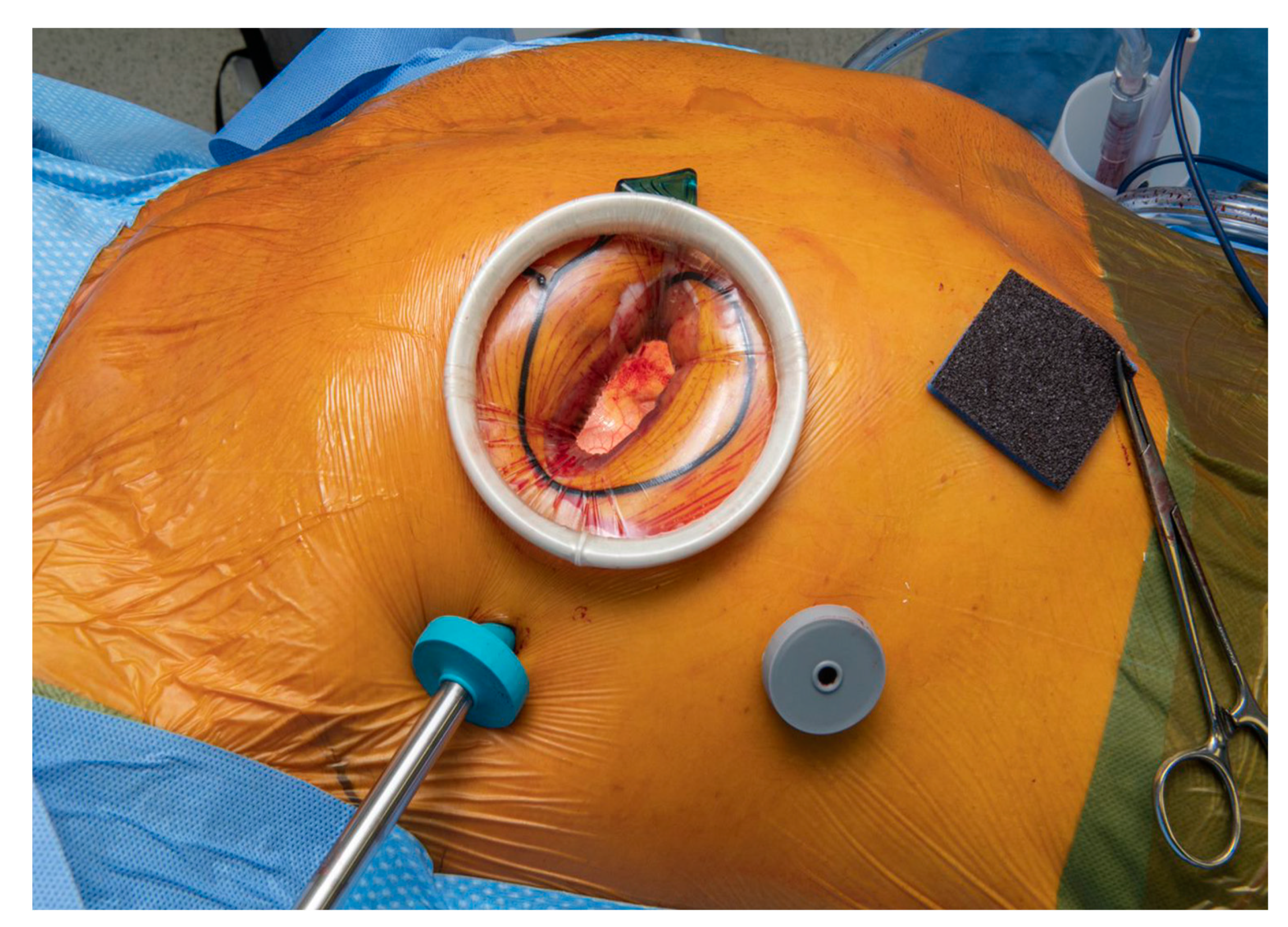 Jcdd 10 00118 g001 Jcdd 10 00118 g001