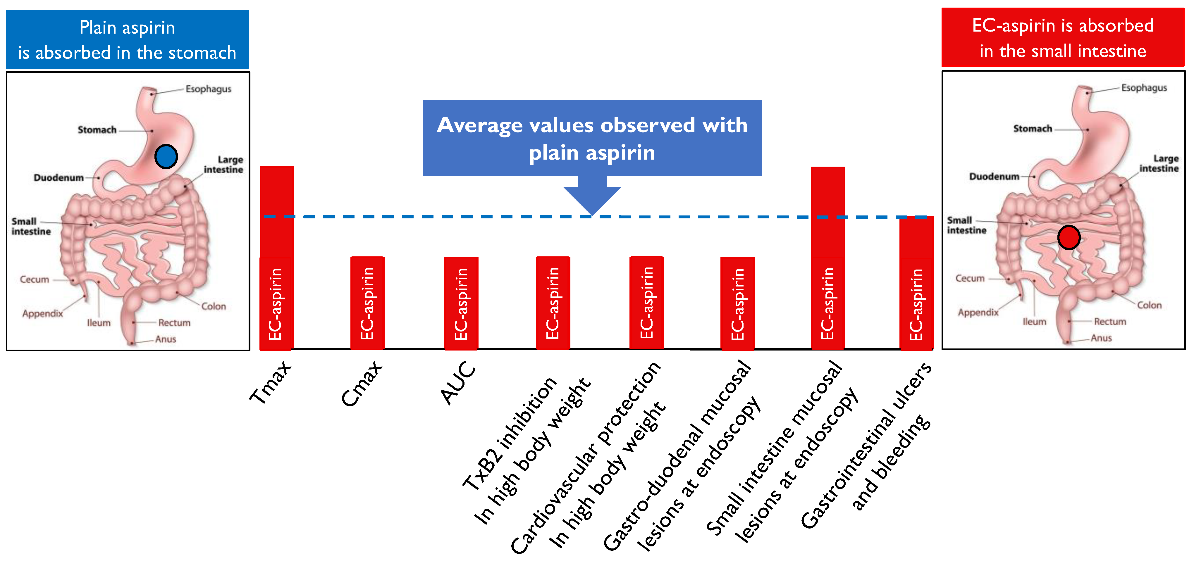 JCDD Free FullText Pharmacological Efficacy and Gastrointestinal