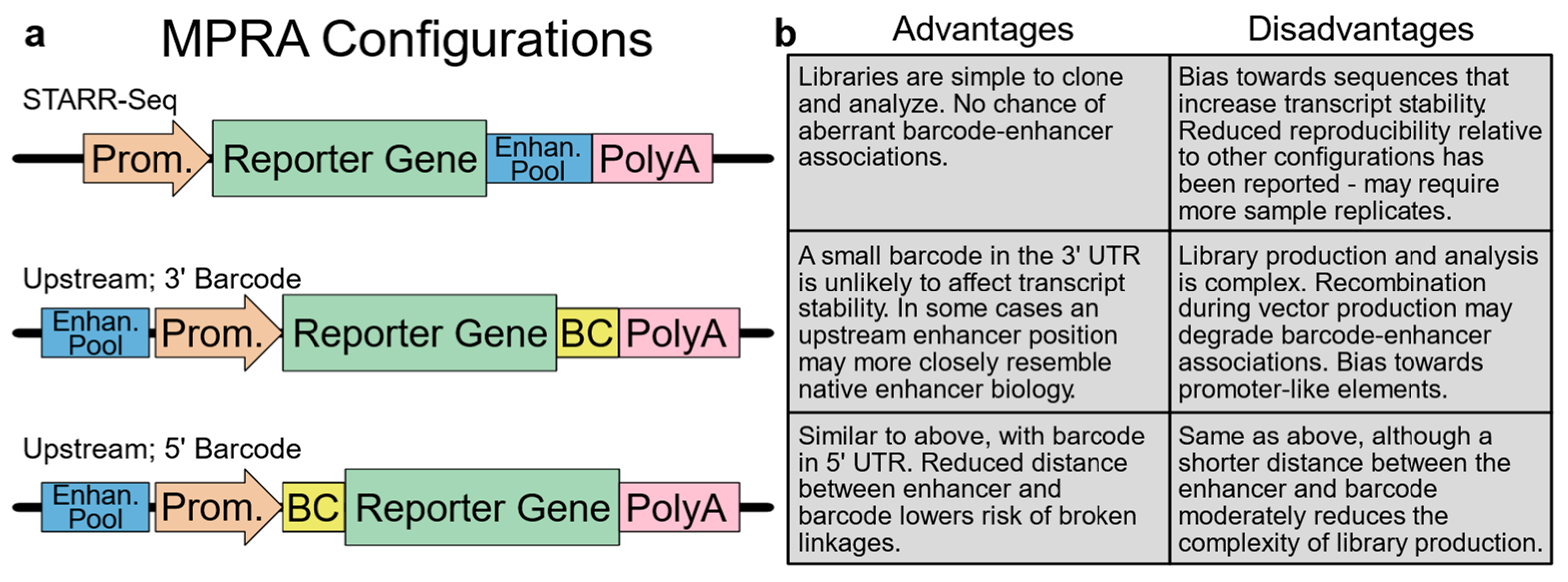 Jcdd 10 00144 g002 Jcdd 10 00144 g002