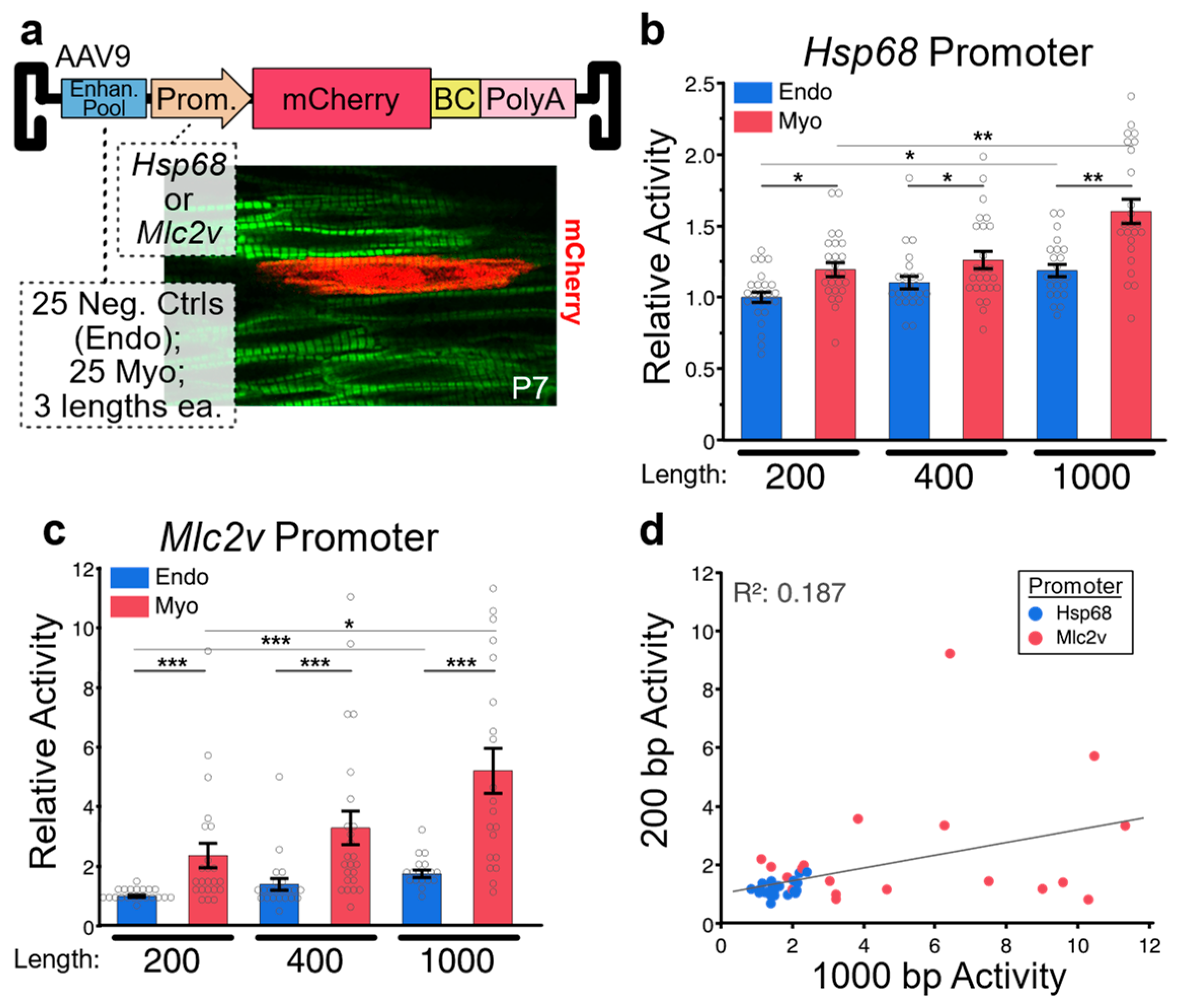 Jcdd 10 00144 g003 Jcdd 10 00144 g003