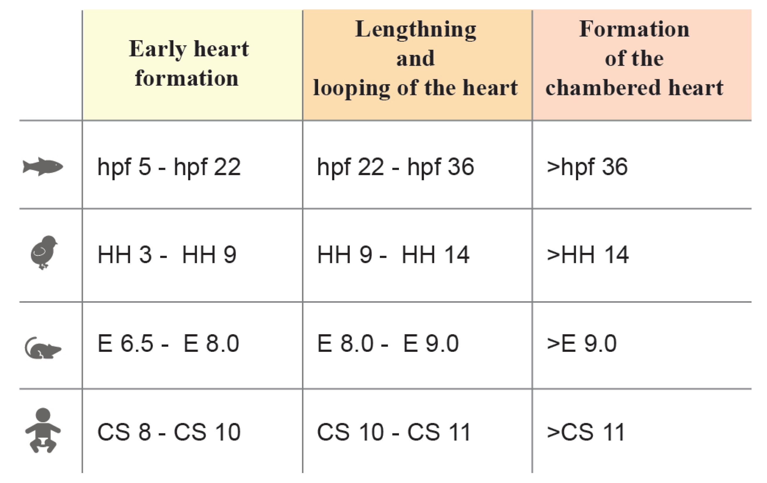 Jcdd 10 00145 g001 Jcdd 10 00145 g001