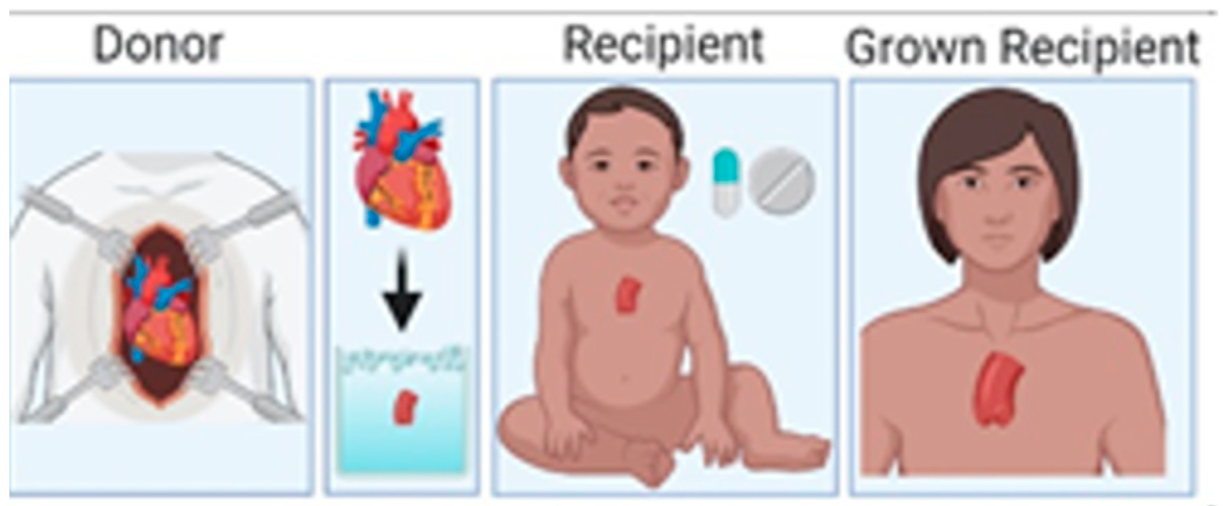 Jcdd 10 00148 g002 Jcdd 10 00148 g002