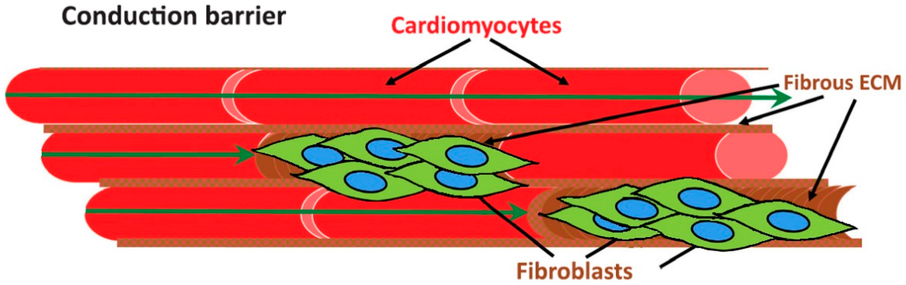 Jcdd 10 00149 g002 Jcdd 10 00149 g002