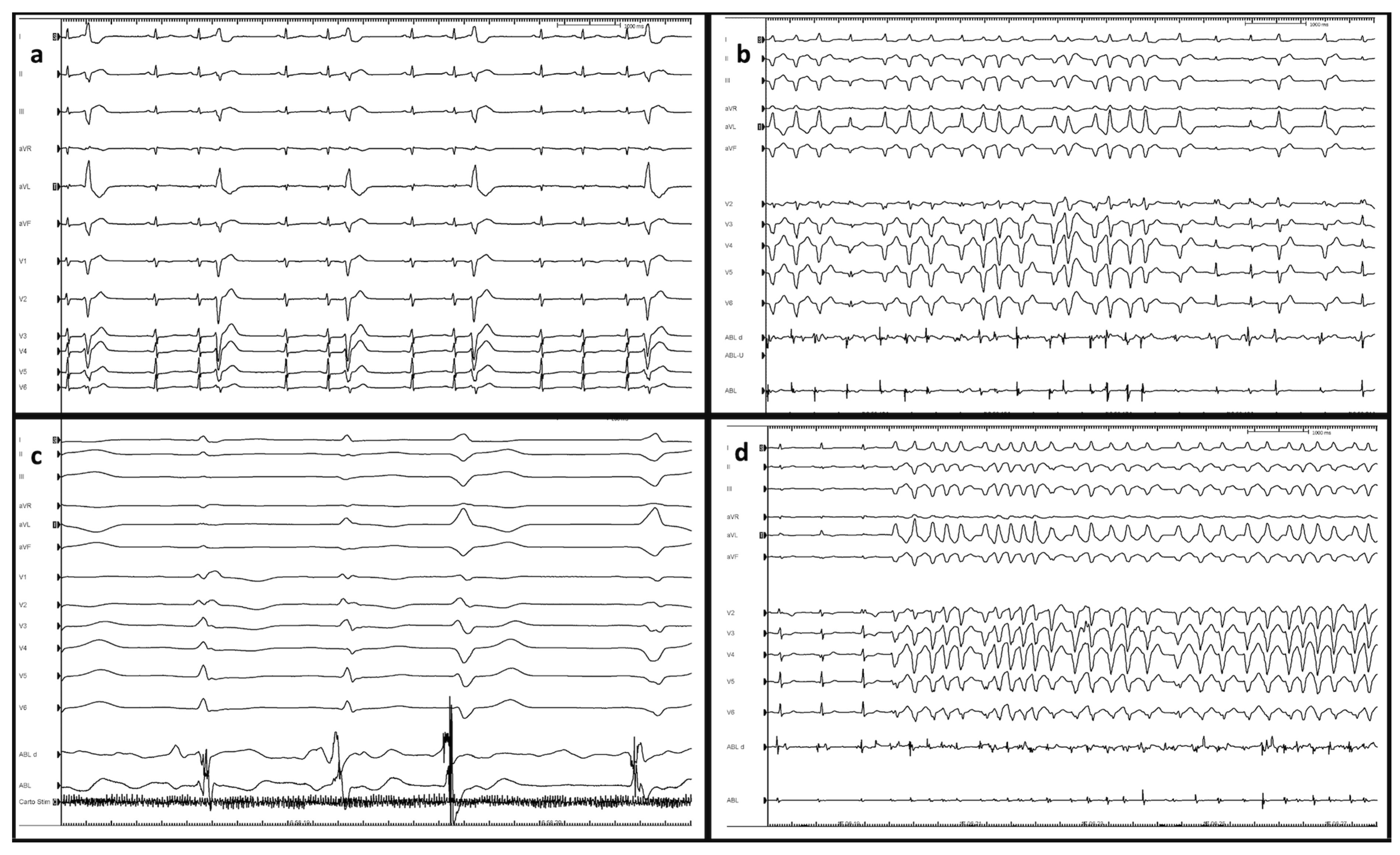 Jcdd 10 00159 g003 Jcdd 10 00159 g003