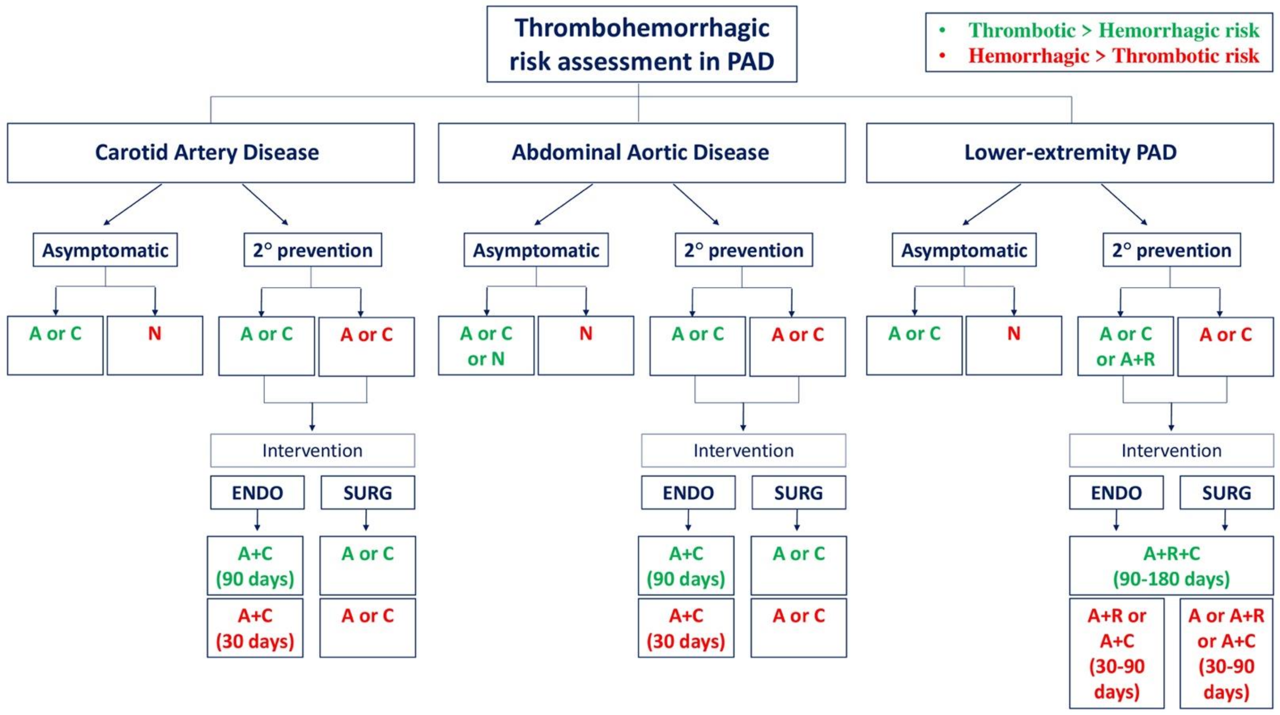 Jcdd 10 00164 g002 Jcdd 10 00164 g002