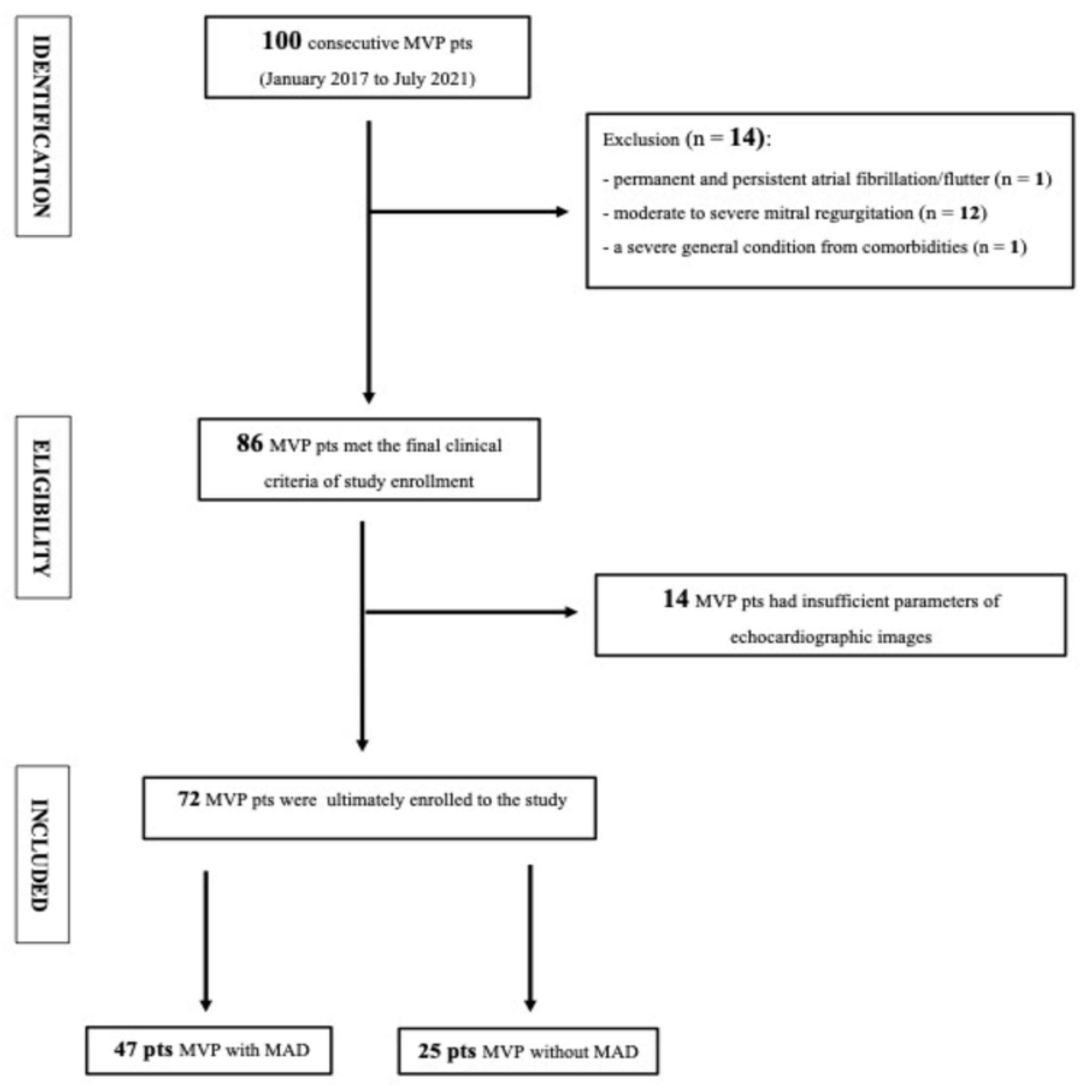 Jcdd 10 00181 g004 Jcdd 10 00181 g004