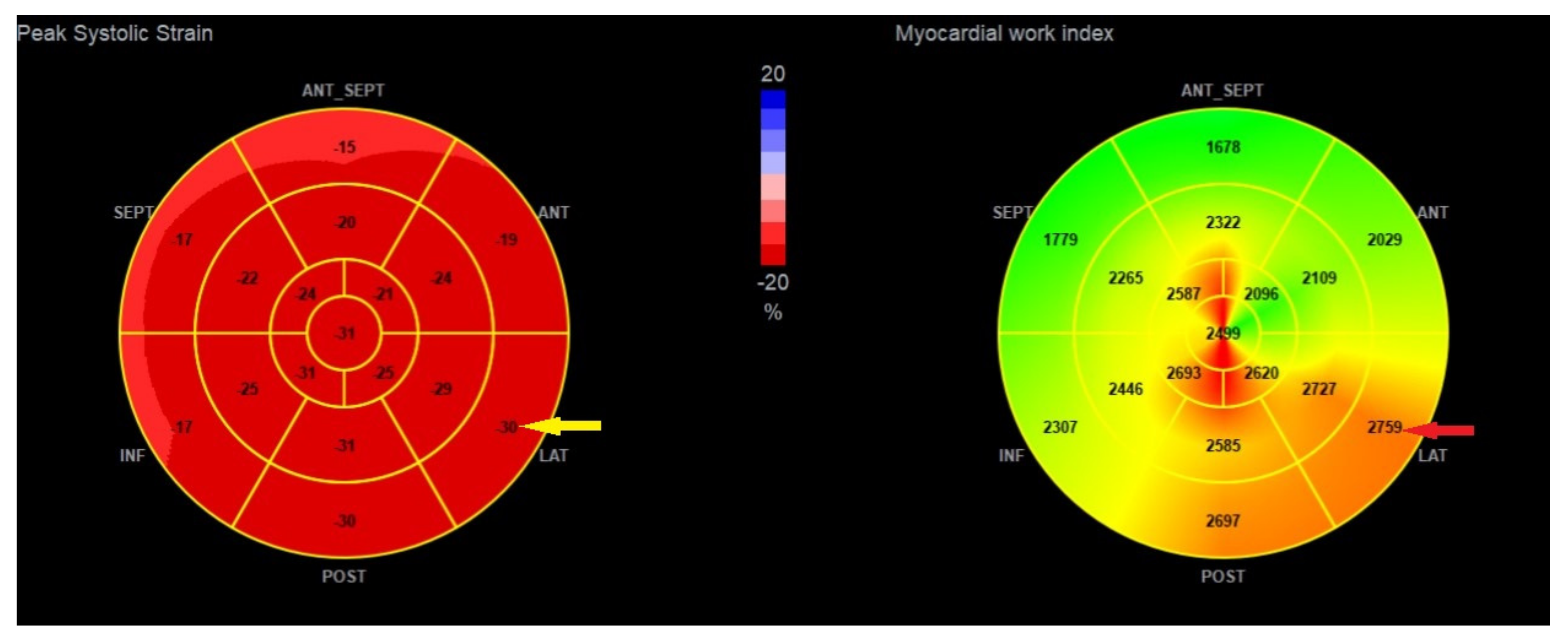 Jcdd 10 00181 g007 Jcdd 10 00181 g007