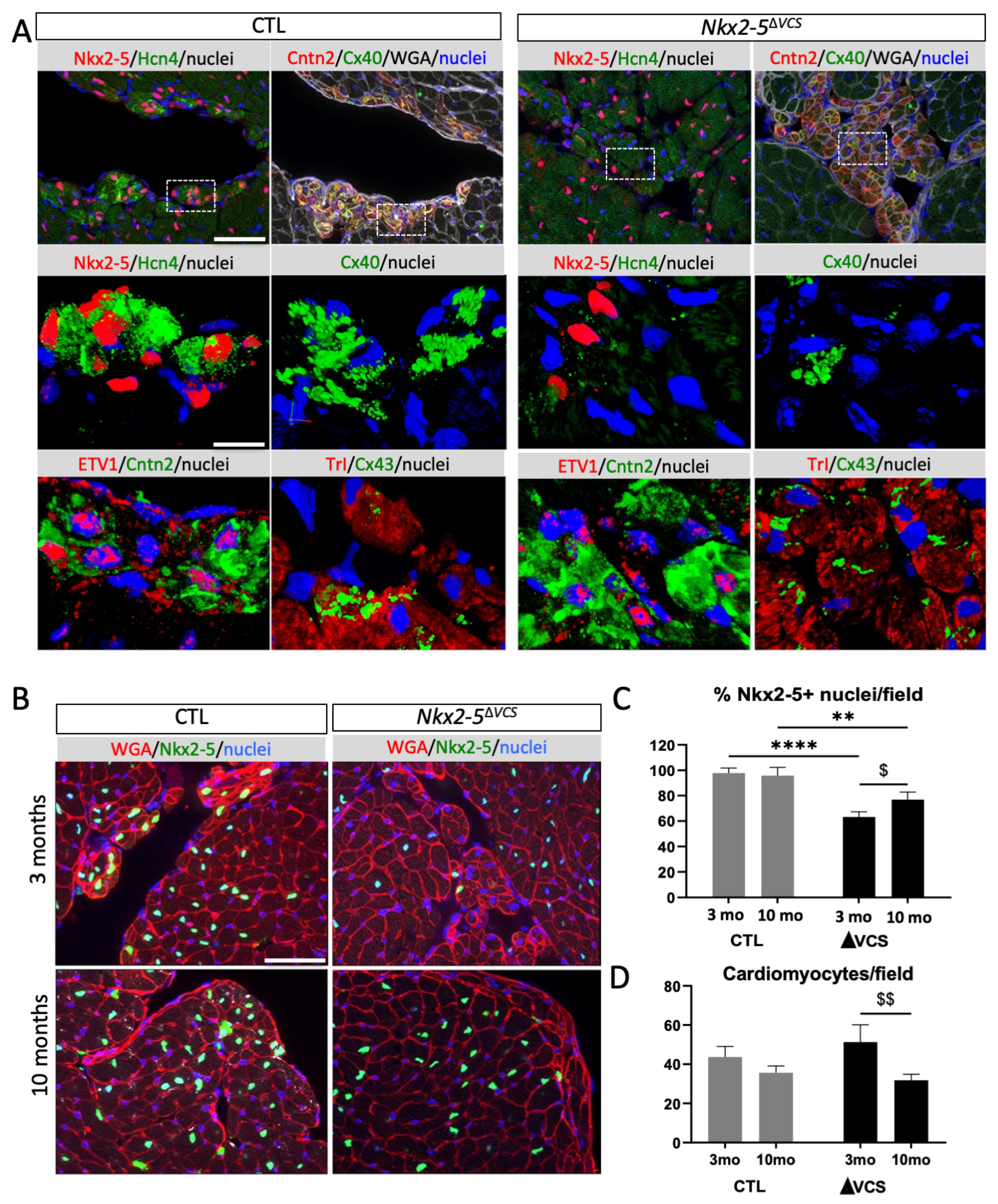 Jcdd 10 00194 g003 Jcdd 10 00194 g003