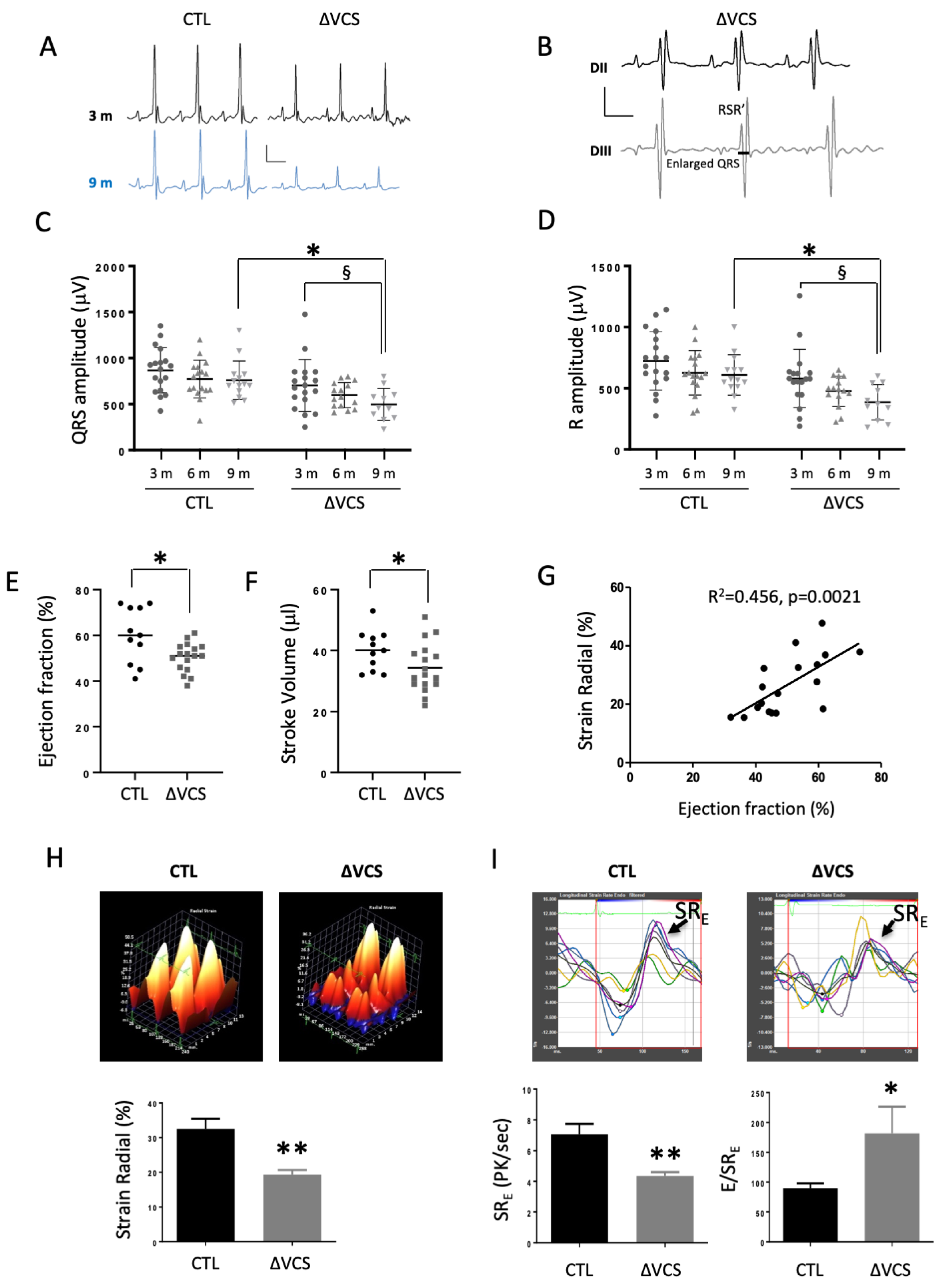 Jcdd 10 00194 g004 Jcdd 10 00194 g004