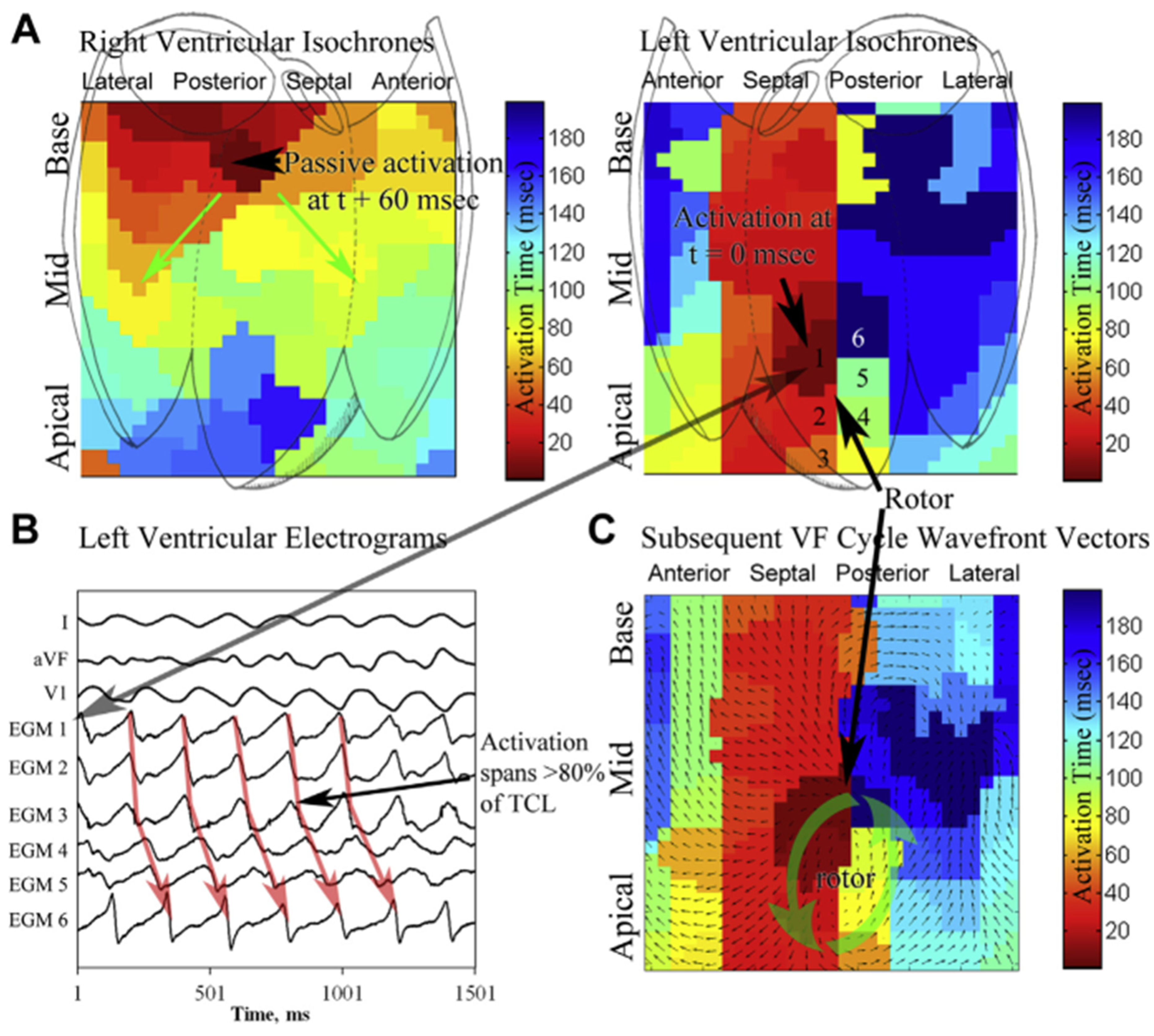 Jcdd 10 00200 g002 Jcdd 10 00200 g002