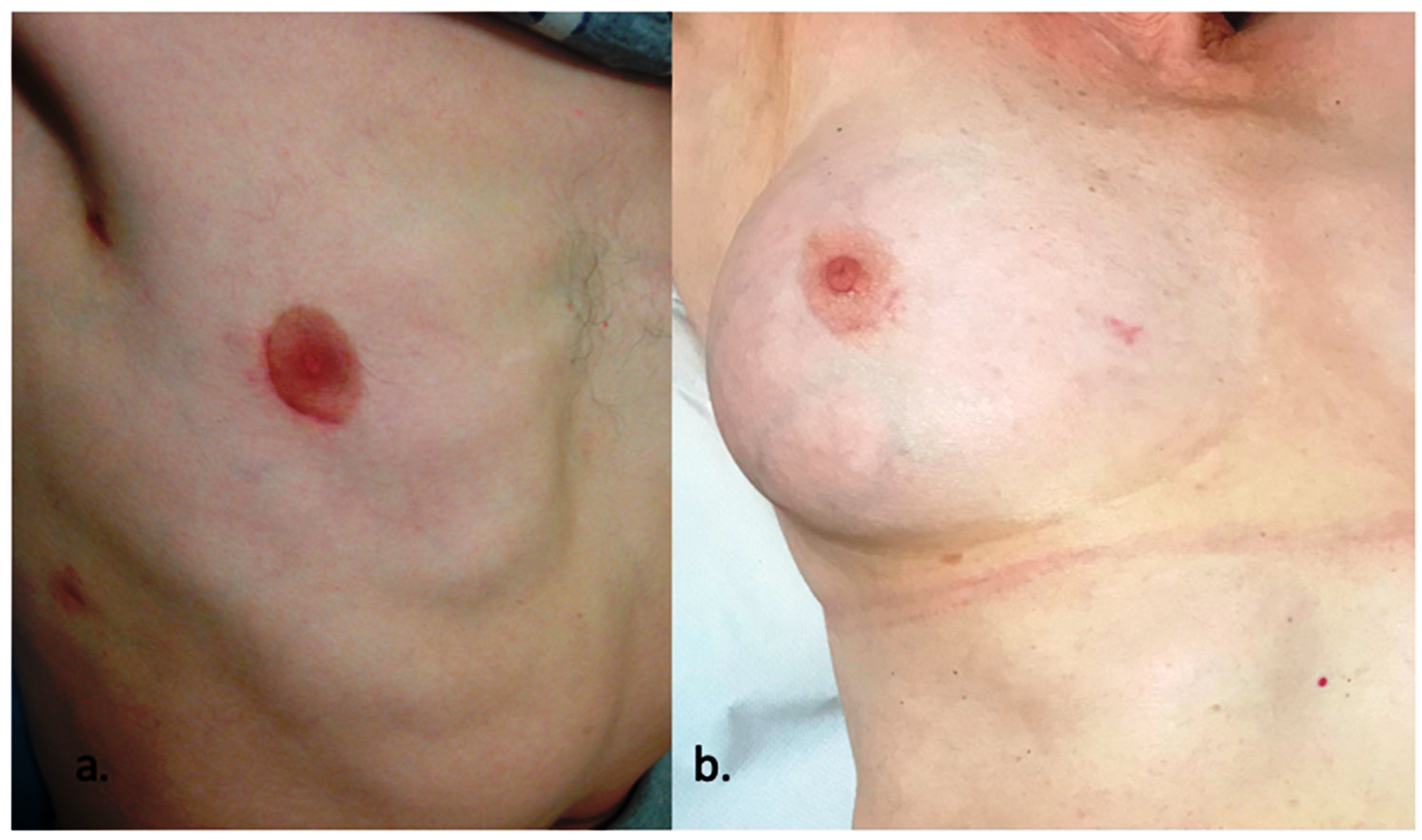 Jcdd 10 00206 g001 Jcdd 10 00206 g001