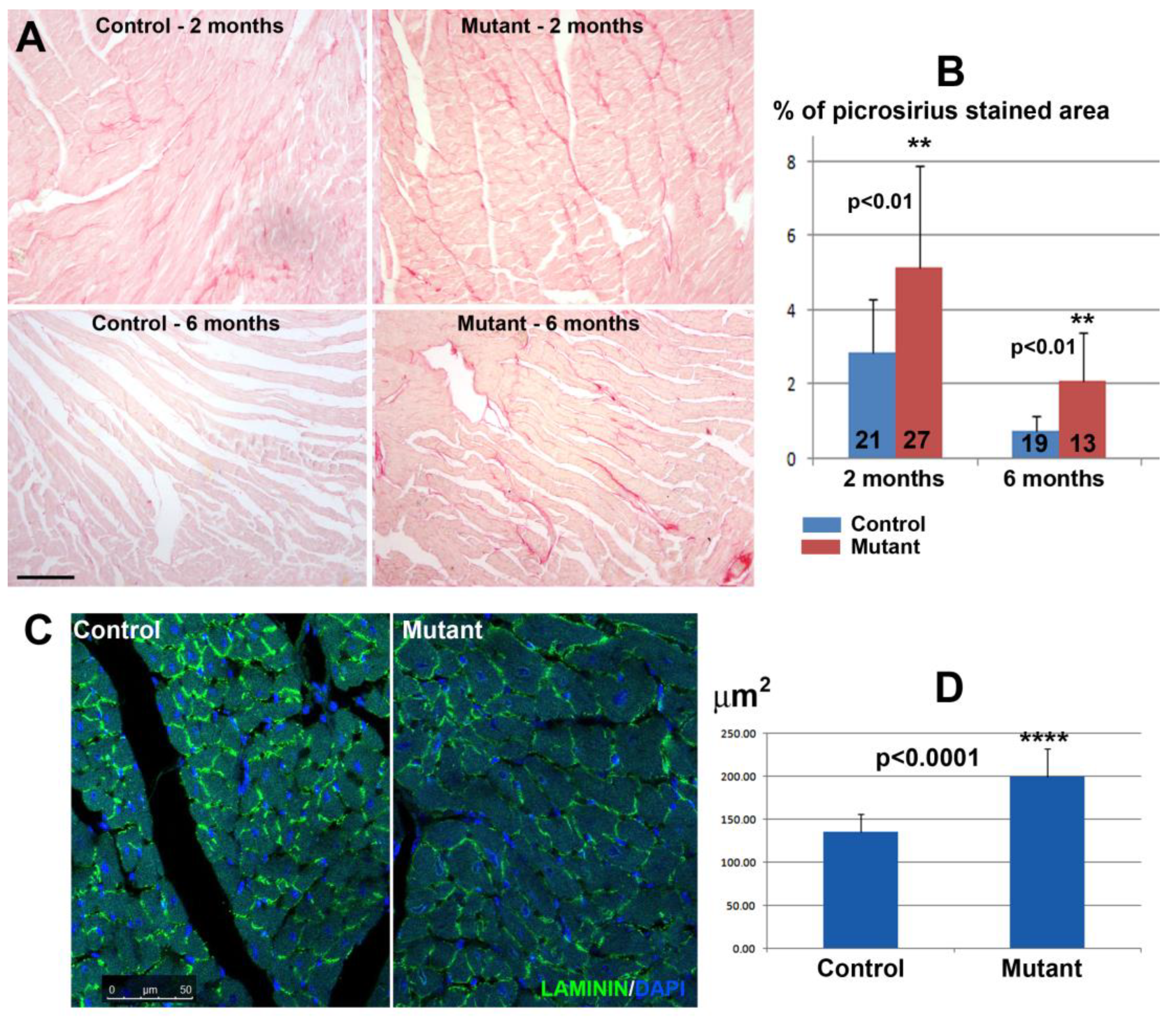Jcdd 10 00211 g003 Jcdd 10 00211 g003