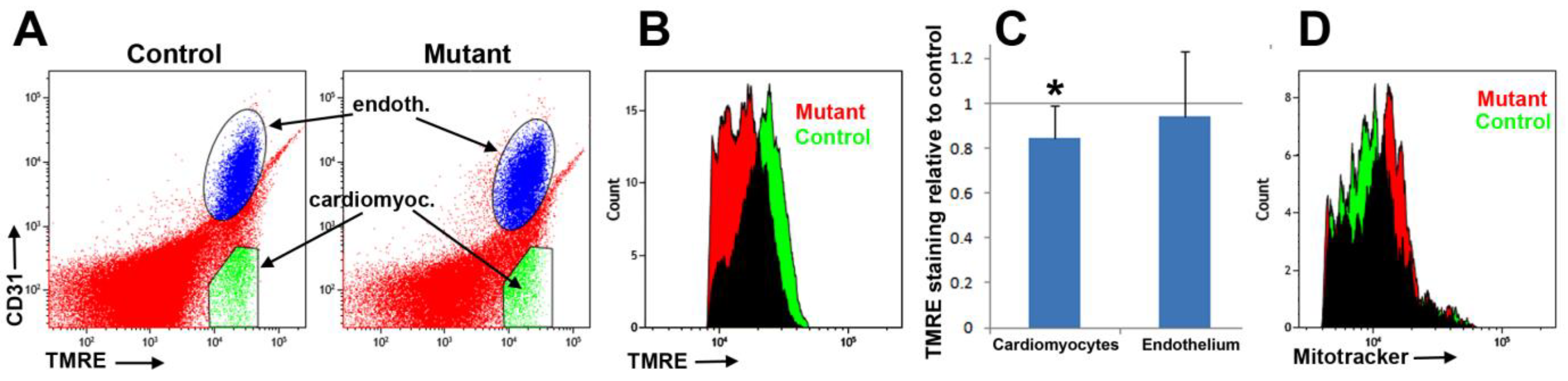 Jcdd 10 00211 g004 Jcdd 10 00211 g004