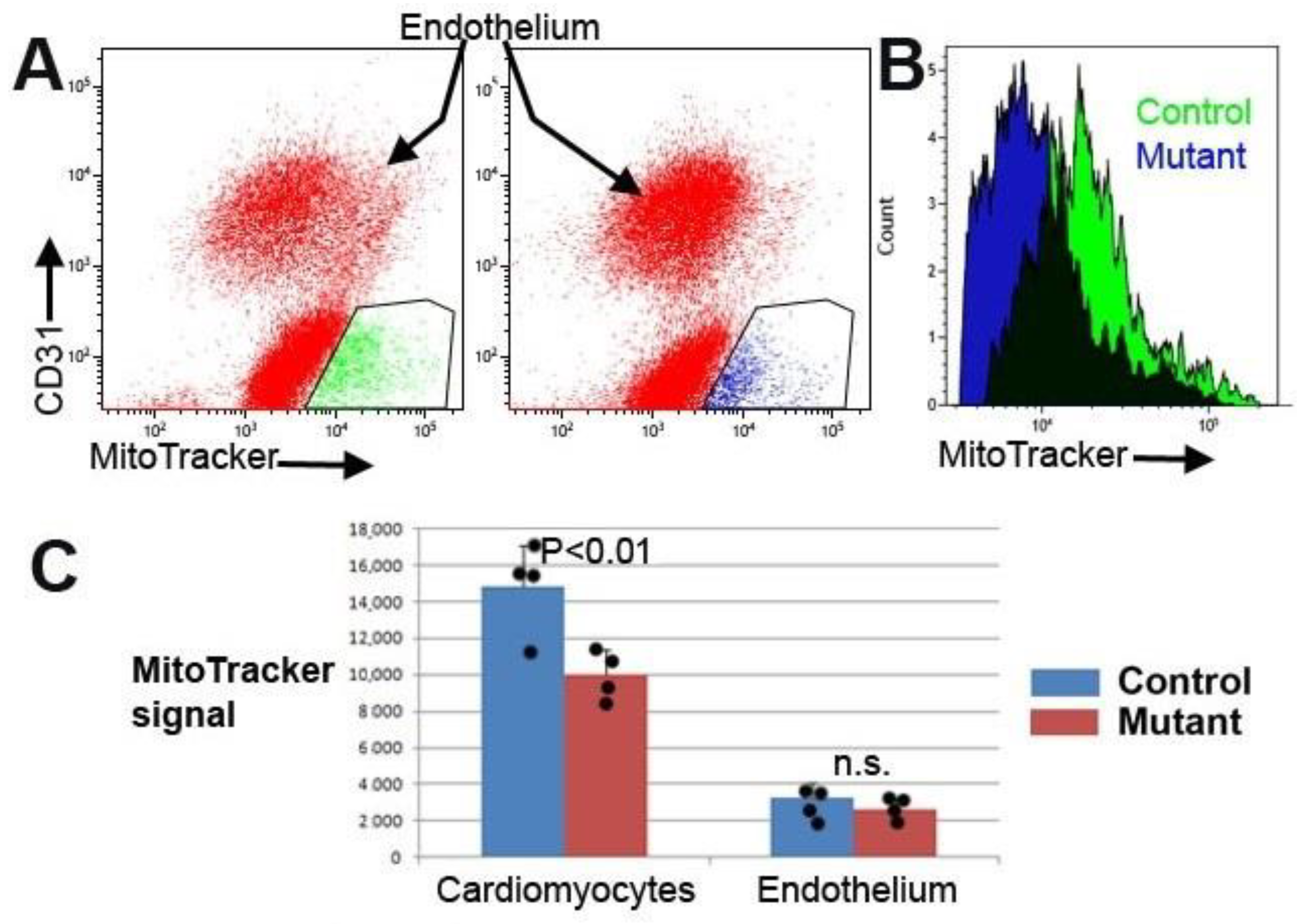 Jcdd 10 00211 g006 Jcdd 10 00211 g006