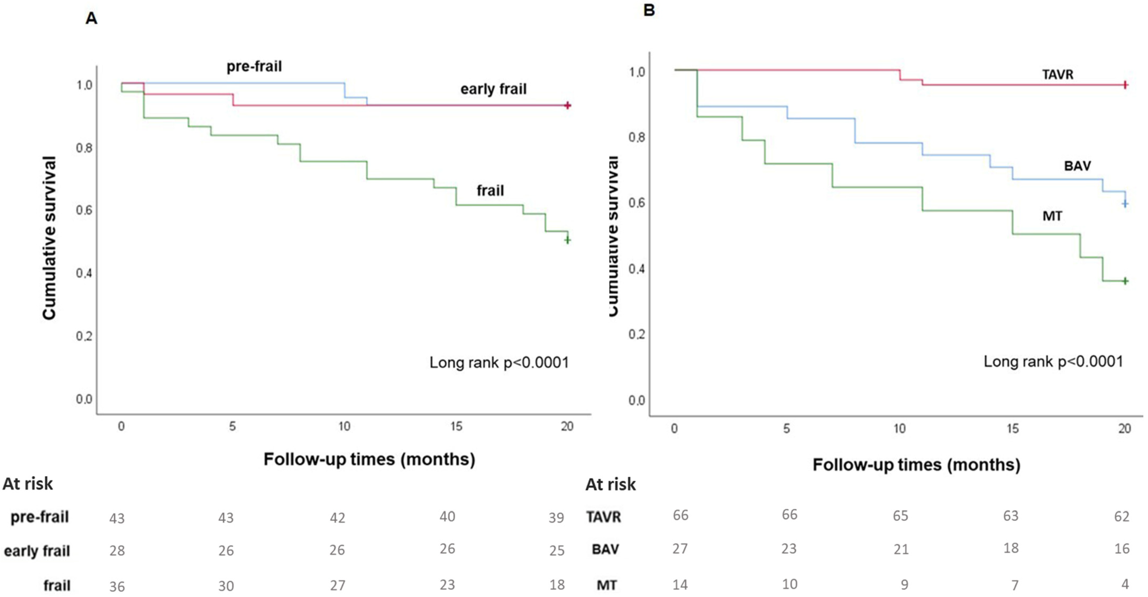 Jcdd 10 00212 g002 Jcdd 10 00212 g002