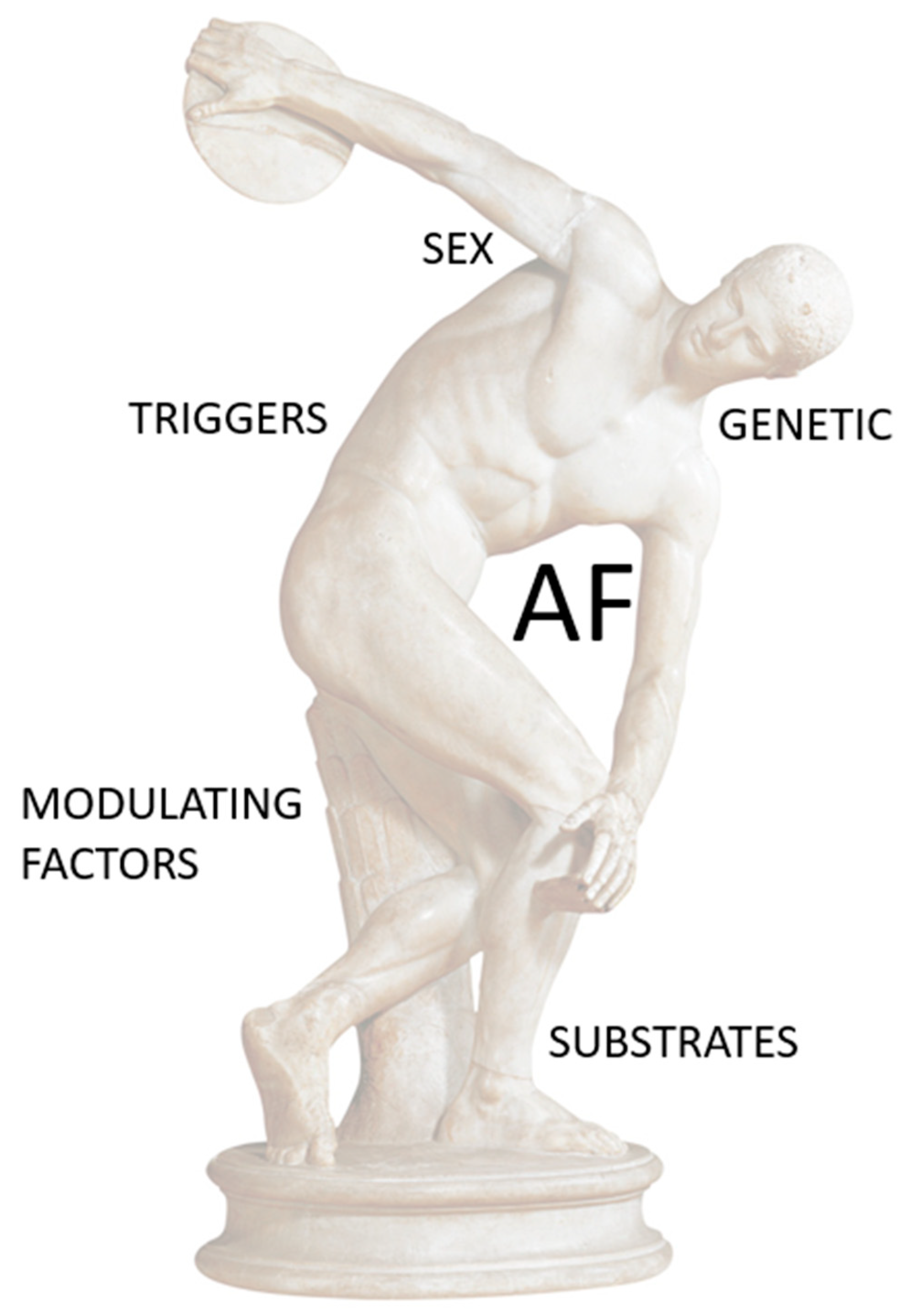 Jcdd 10 00218 g002 Jcdd 10 00218 g002