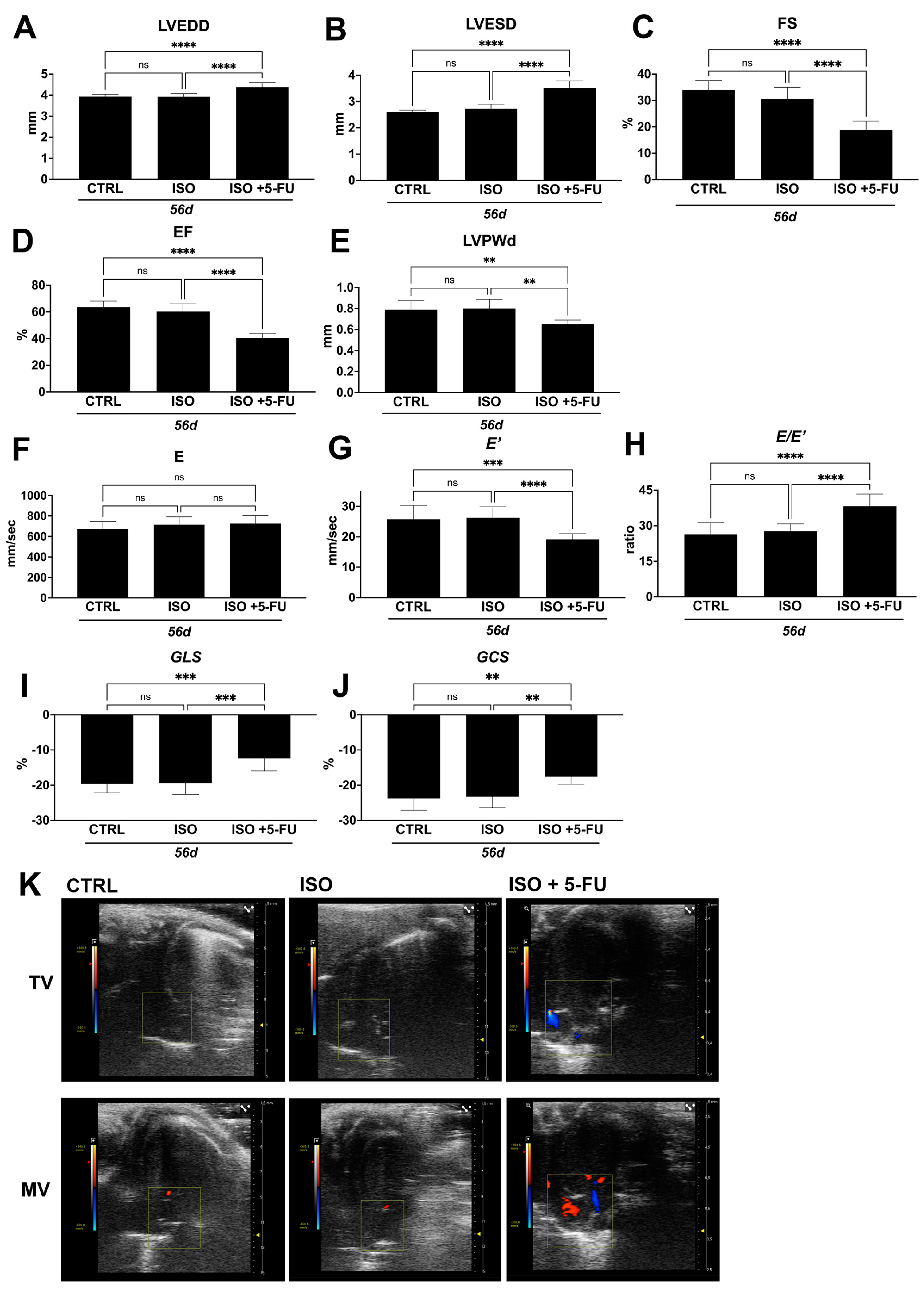 Jcdd 10 00225 g003 Jcdd 10 00225 g003