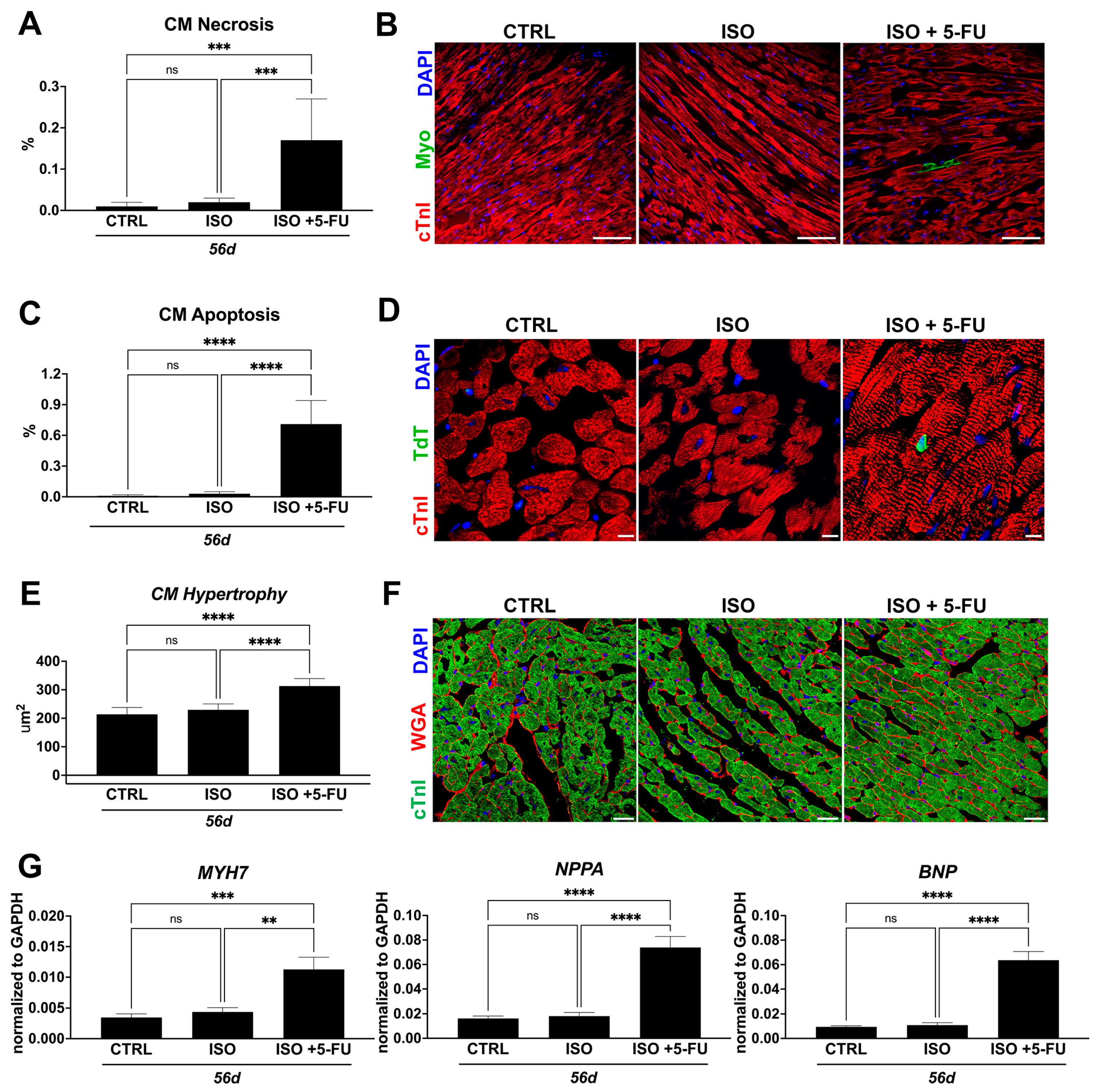 Jcdd 10 00225 g004 Jcdd 10 00225 g004