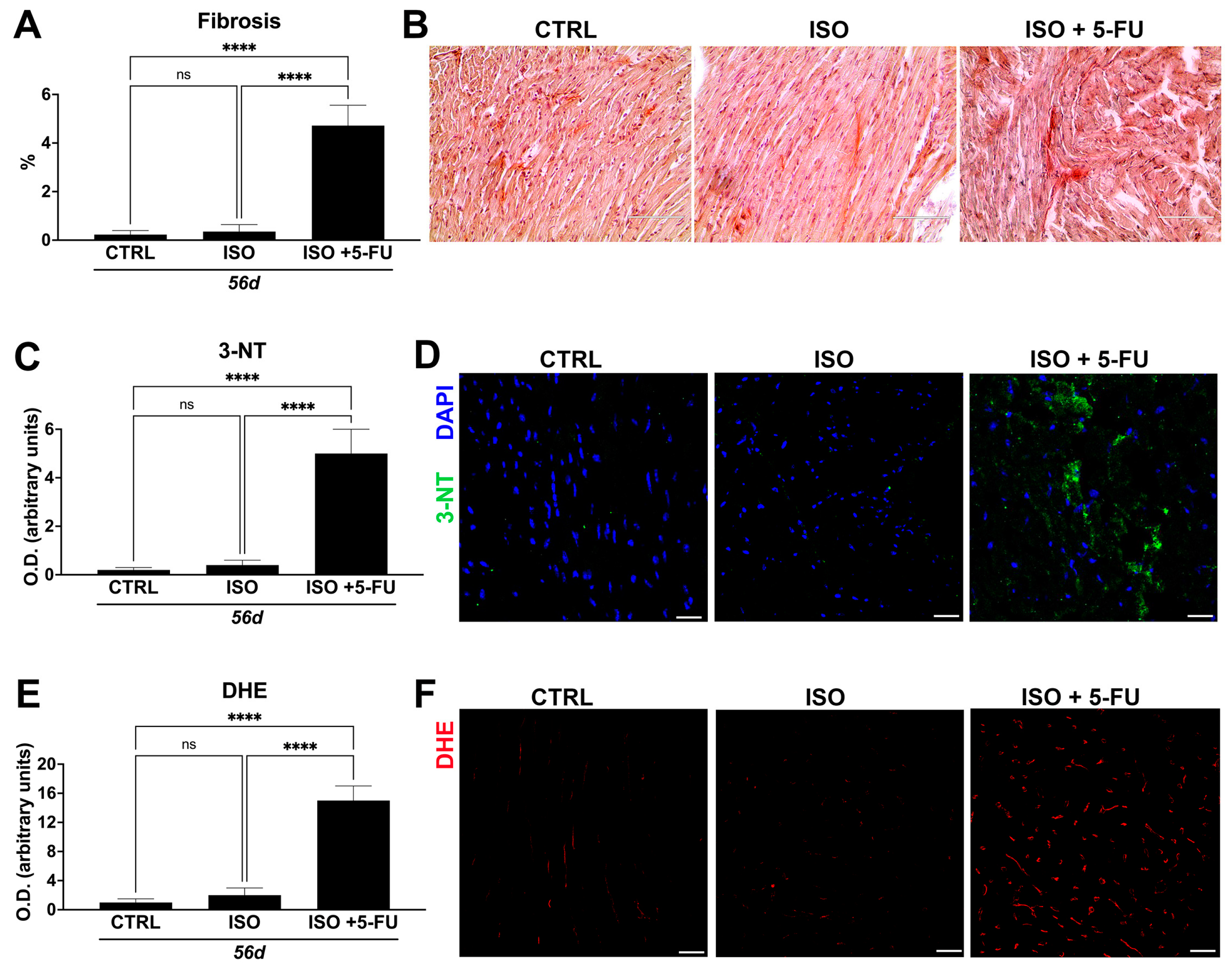 Jcdd 10 00225 g005 Jcdd 10 00225 g005
