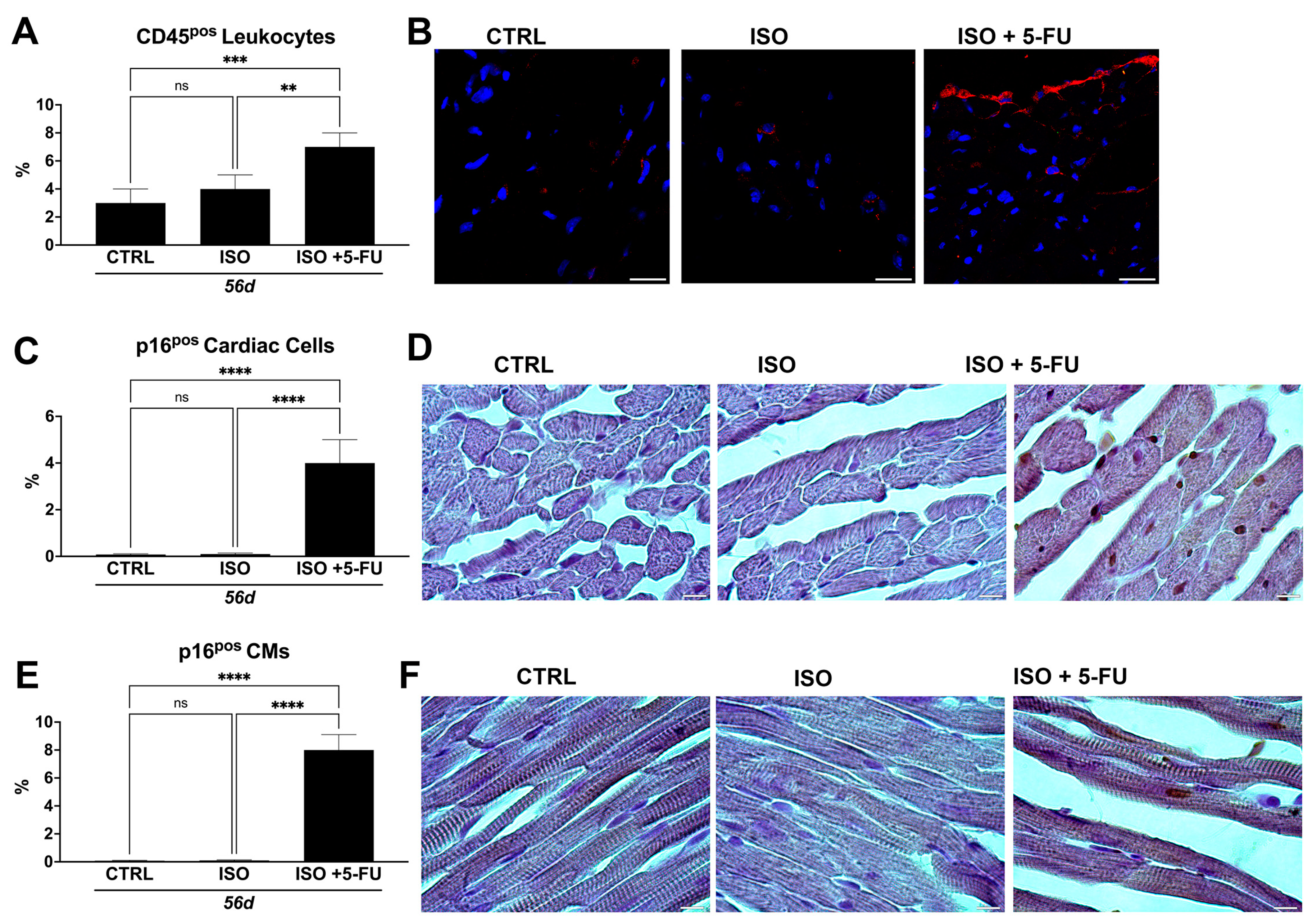 Jcdd 10 00225 g006 Jcdd 10 00225 g006