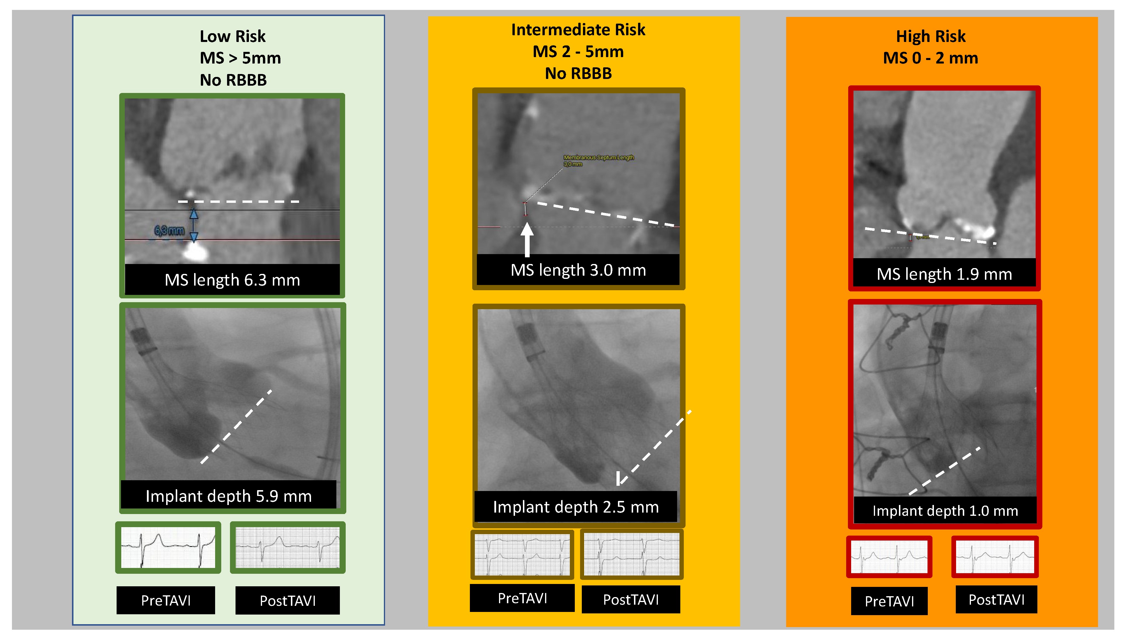 Jcdd 10 00230 g002 Jcdd 10 00230 g002