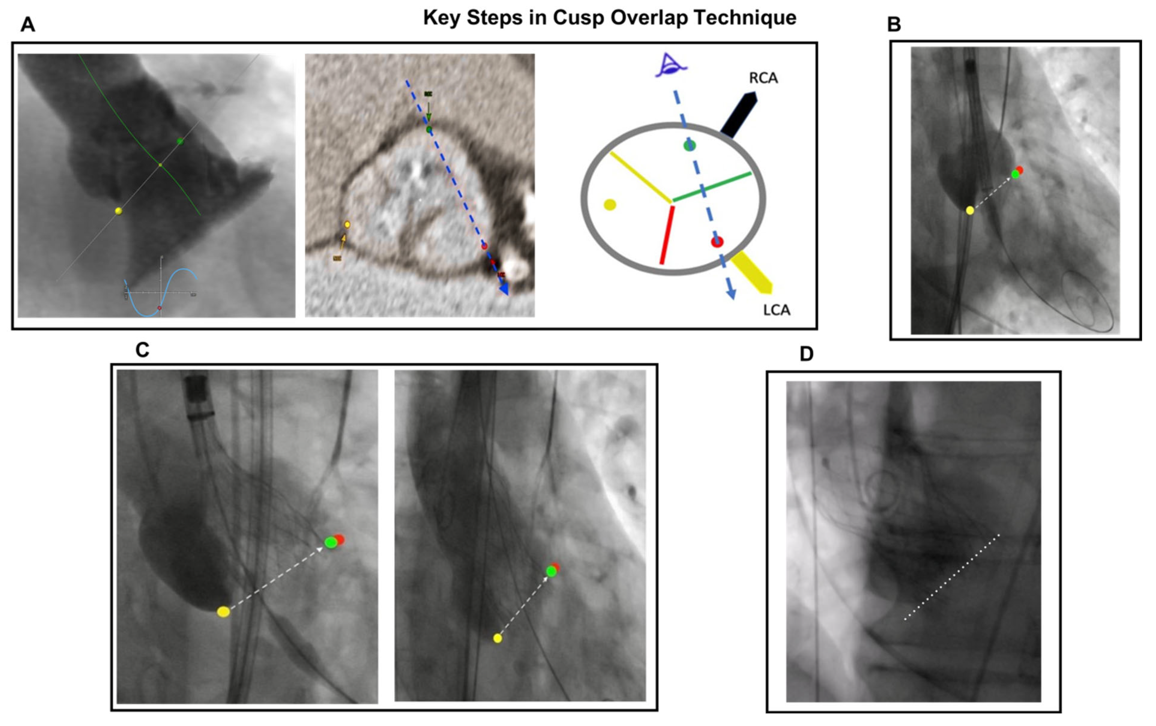 Jcdd 10 00230 g003 Jcdd 10 00230 g003