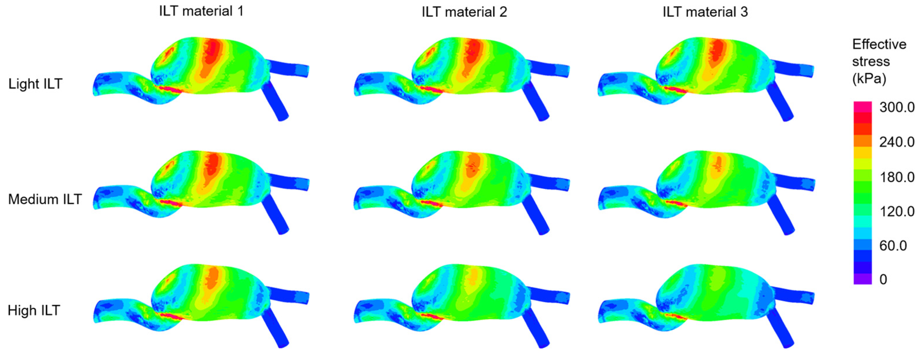 Jcdd 10 00233 g004 Jcdd 10 00233 g004