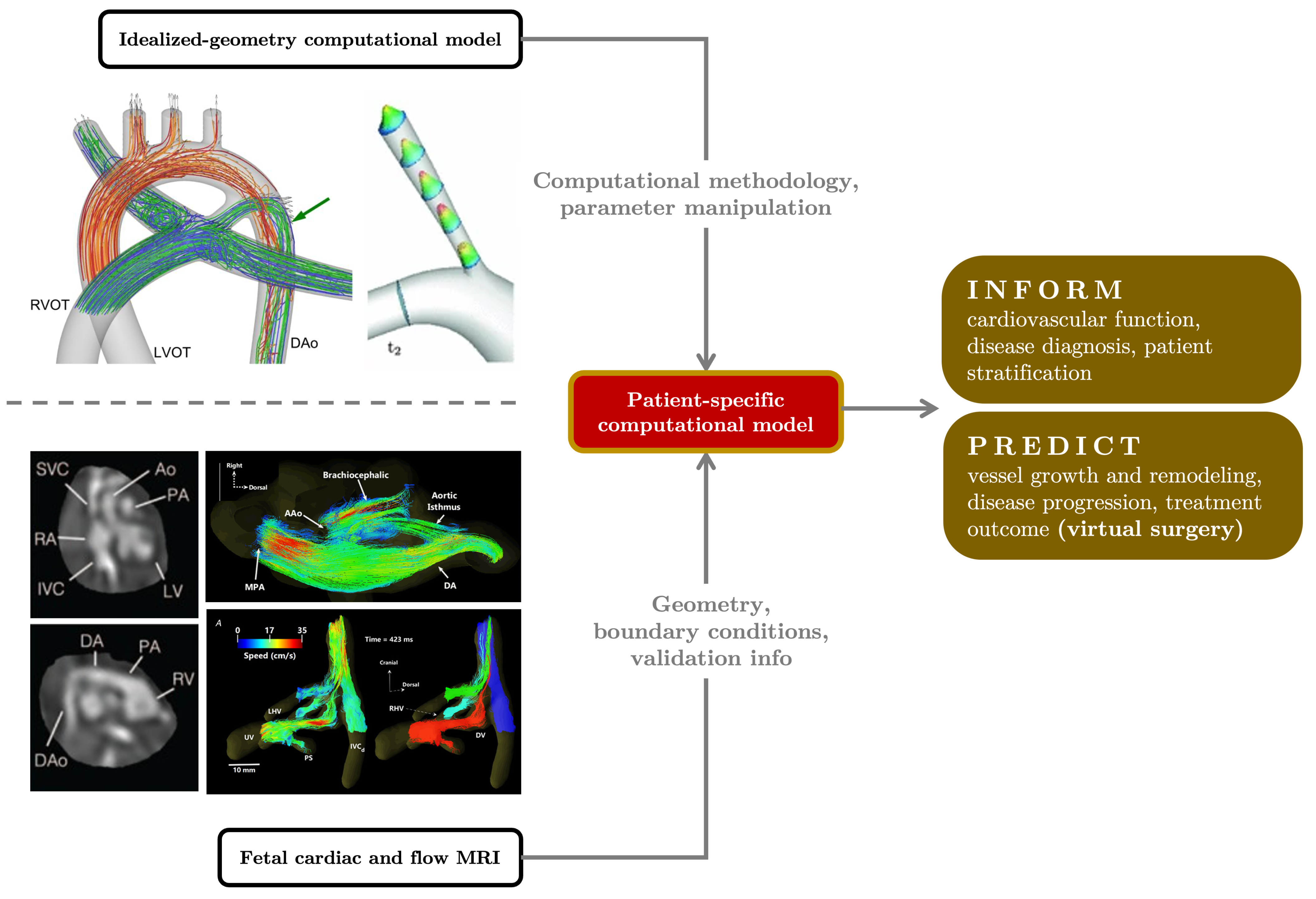 Jcdd 10 00240 g008 Jcdd 10 00240 g008