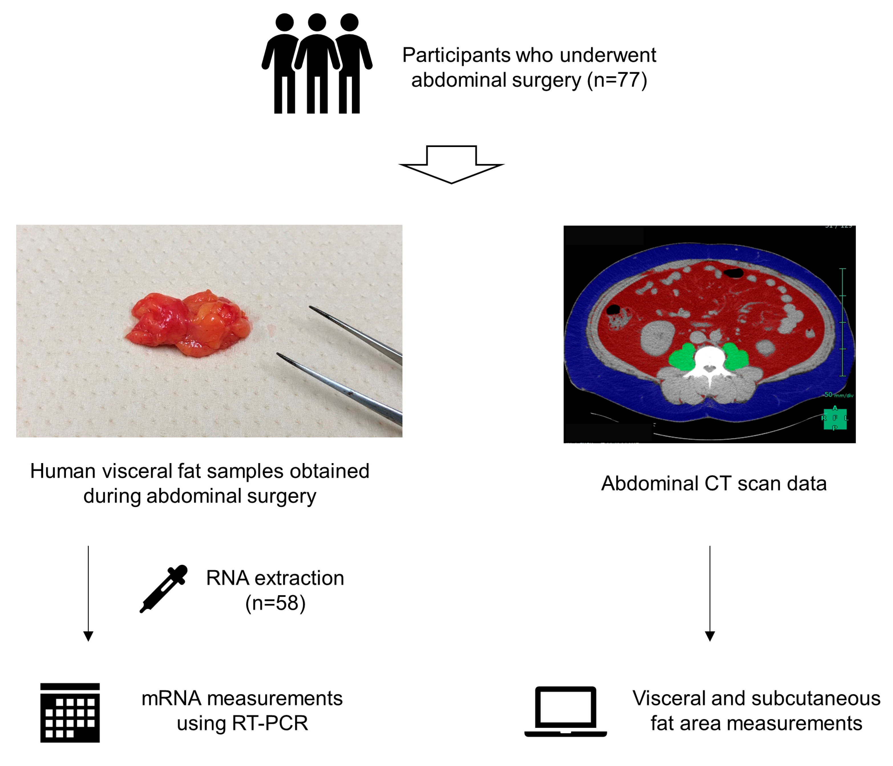 Jcdd 10 00247 g001 Jcdd 10 00247 g001
