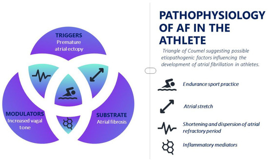 Jcdd 10 00255 g001 550