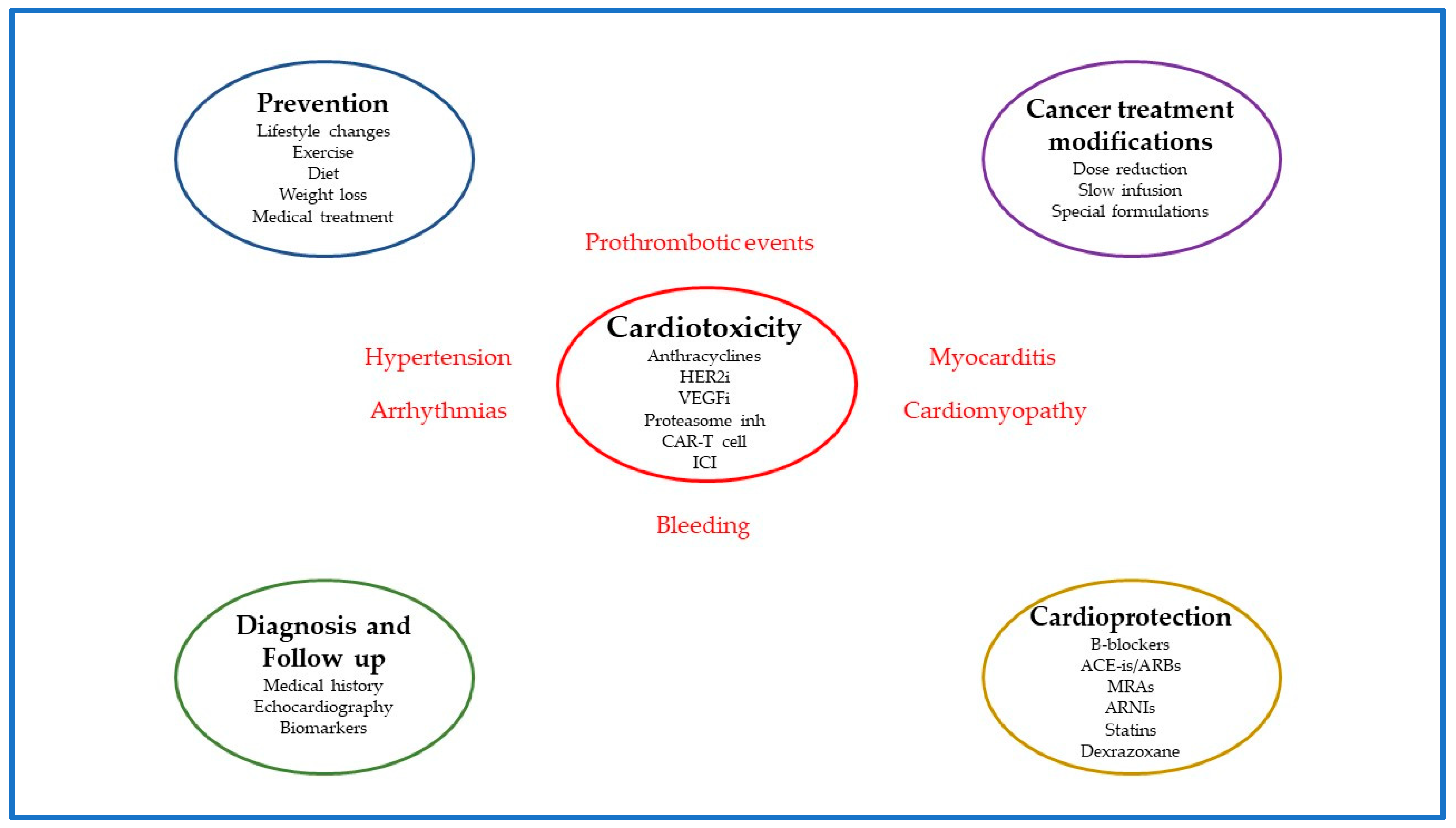 Jcdd 10 00259 g001 550