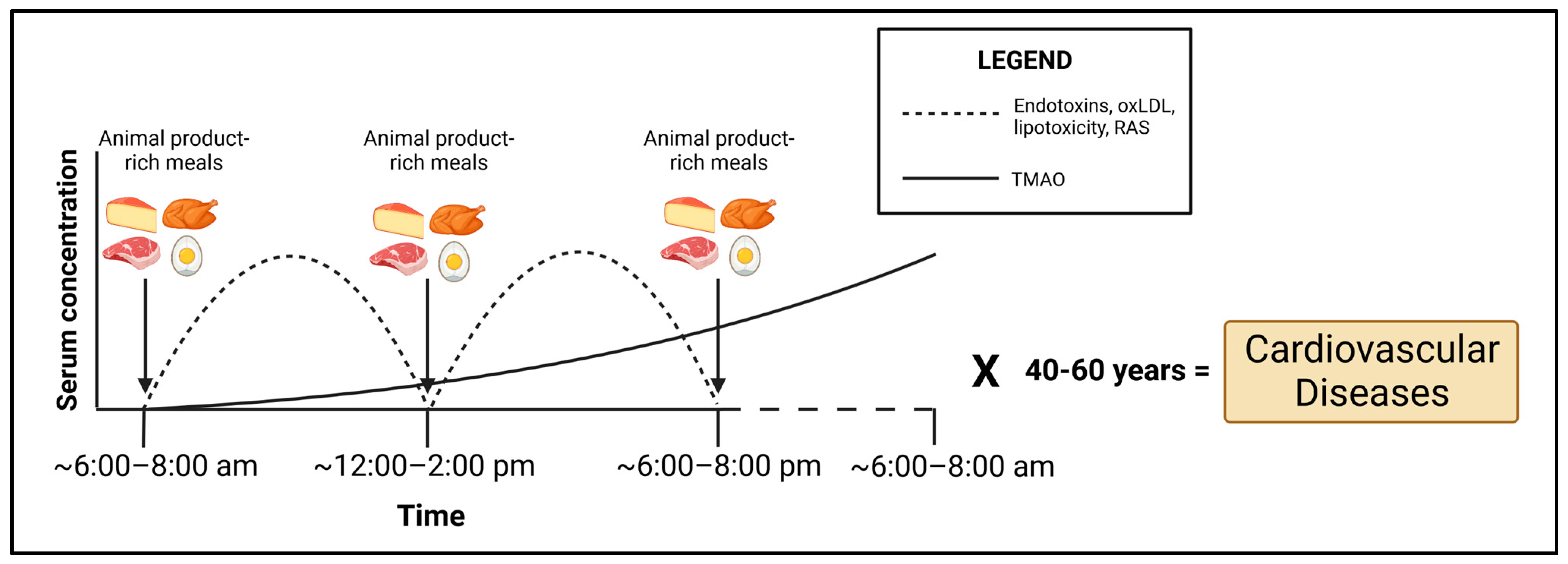 The Impacts of Animal-Based Diets in Cardiovascular Disease