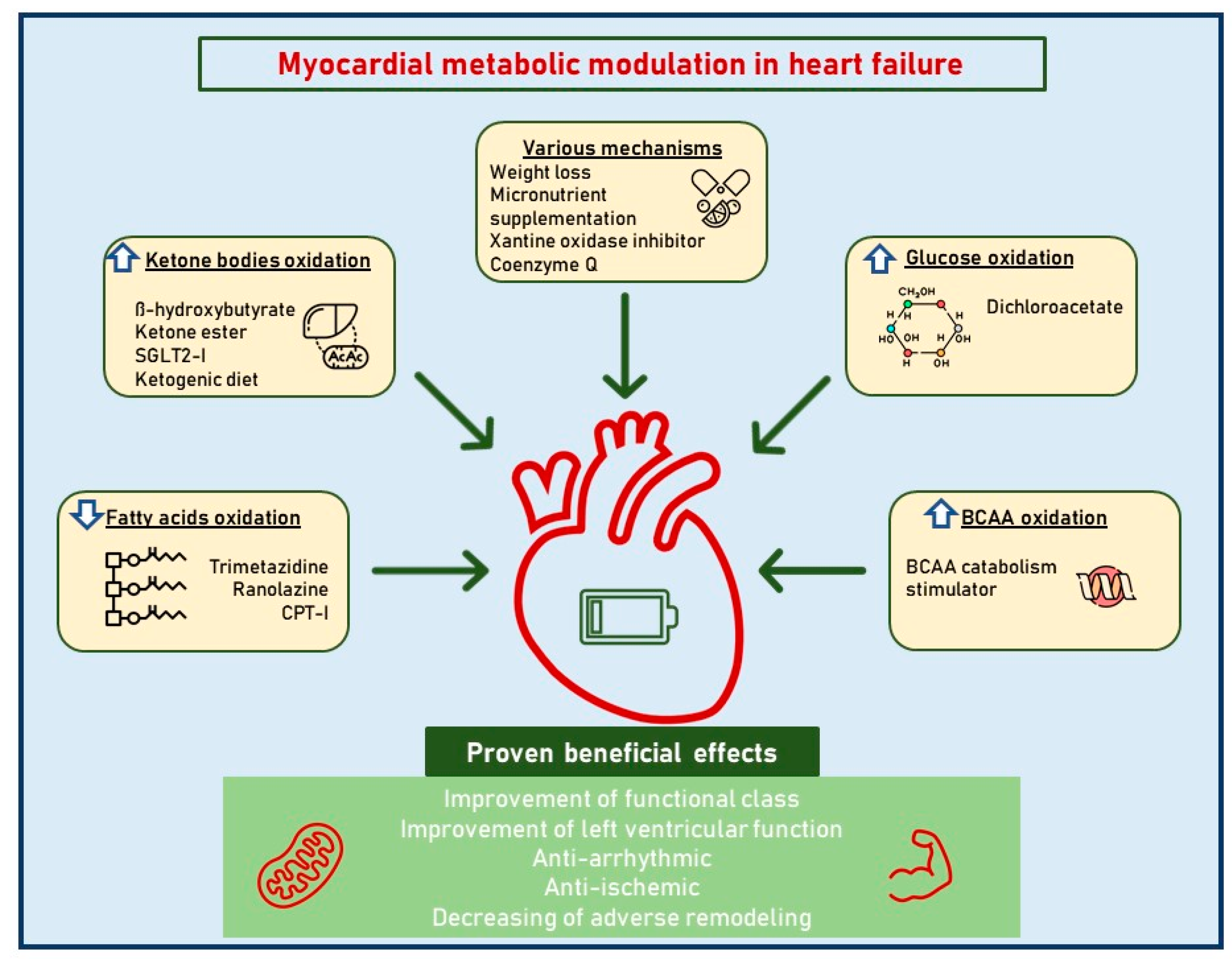 Jcdd 10 00287 g001 Jcdd 10 00287 g001