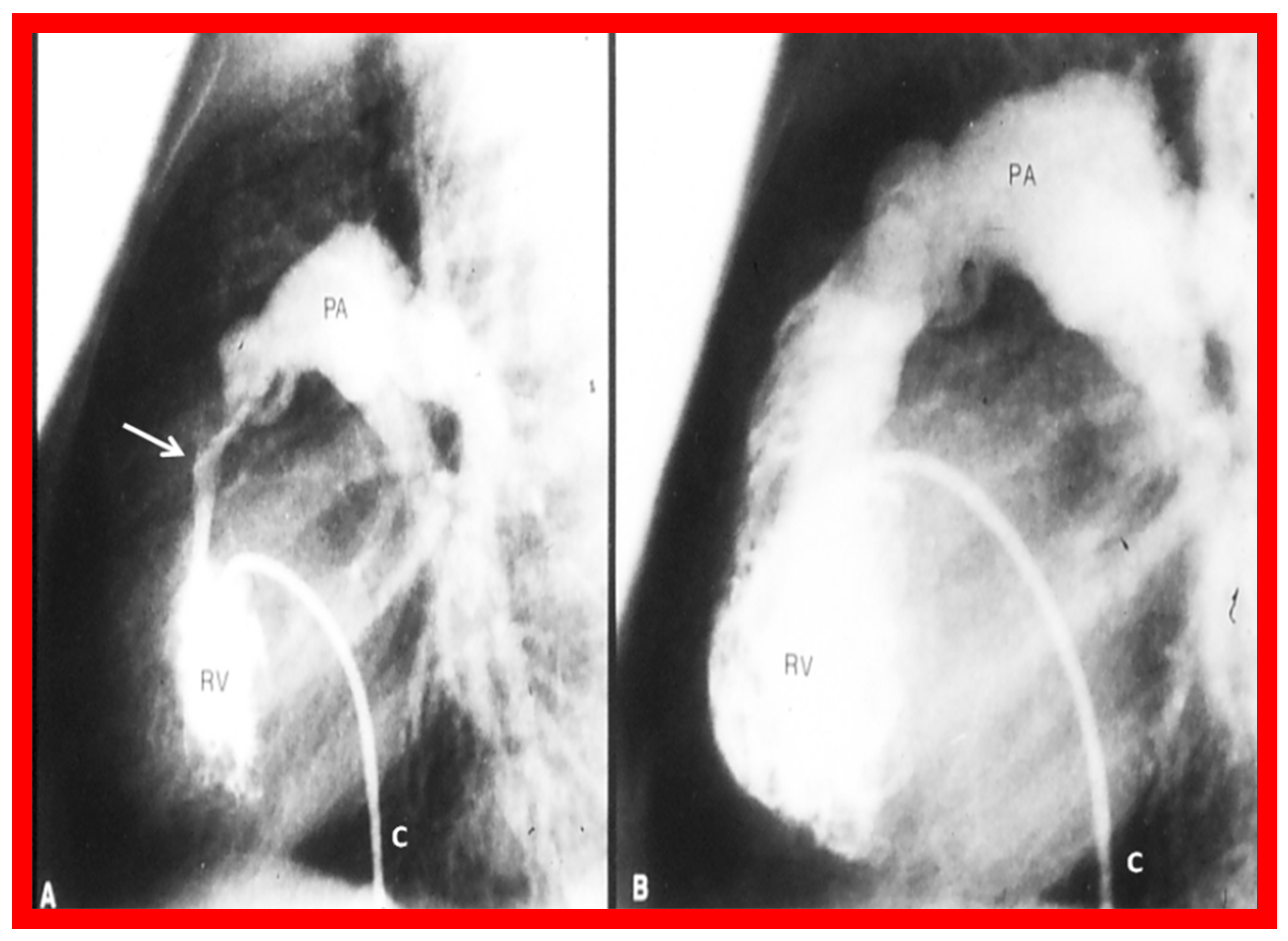 Jcdd 10 00288 g002 Jcdd 10 00288 g002