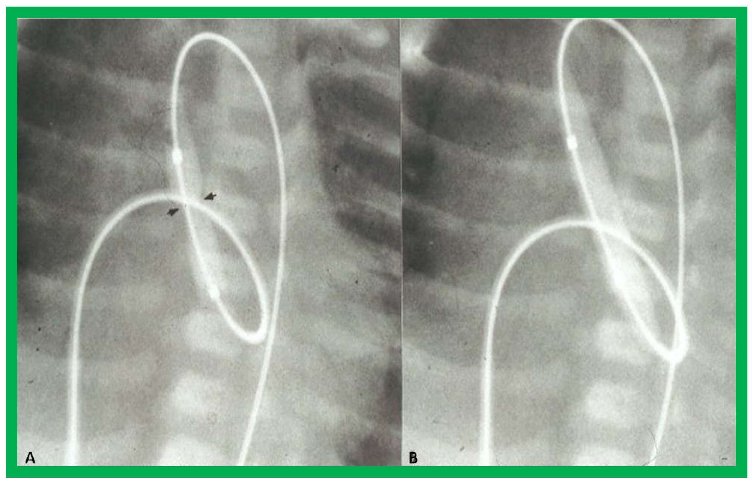 Jcdd 10 00288 g027 Jcdd 10 00288 g027